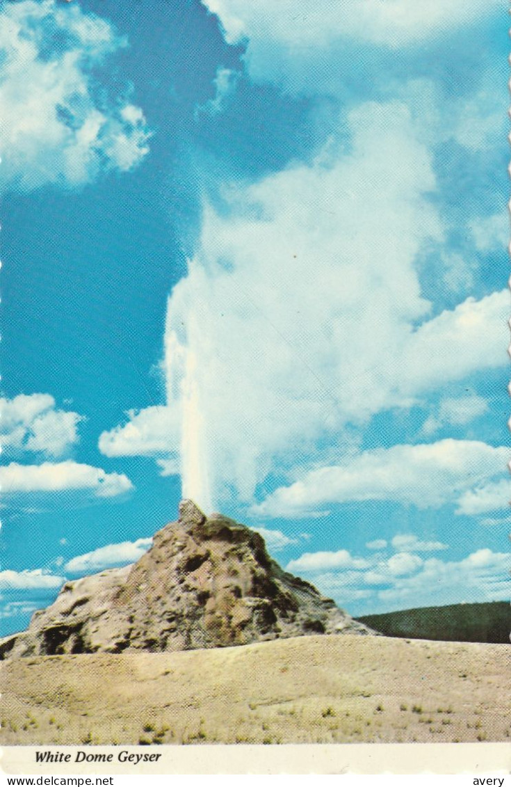 White Dome Geyser, Yellowstone National Park, Wyoming  Cone Of The Geyser Is Situated In The Center Of An Old Sprin G - Yellowstone