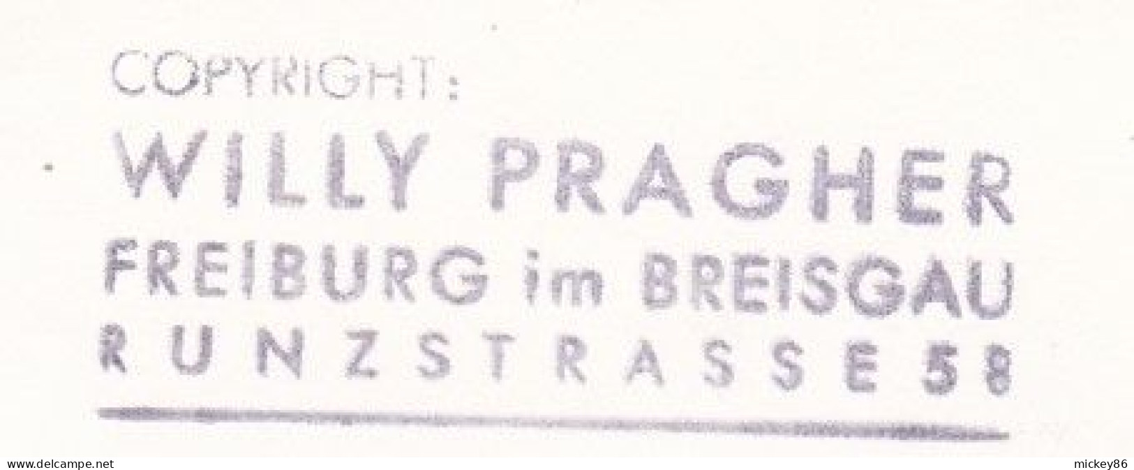 Allemagne -- FREIBURG Im BREISGAU  ----   Photo  Format 18 Cm  X 12 Cm --très Animée -- à Identifier - Freiburg I. Br.