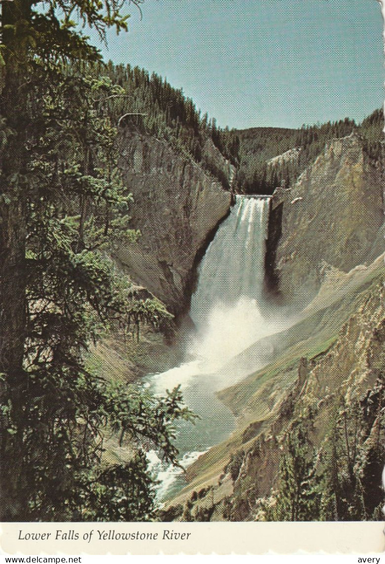 Lower Falls Of The Yellowstone River Over Three Hundred Feet Into The Grand Canyon Of The Yellowstone River - Yellowstone