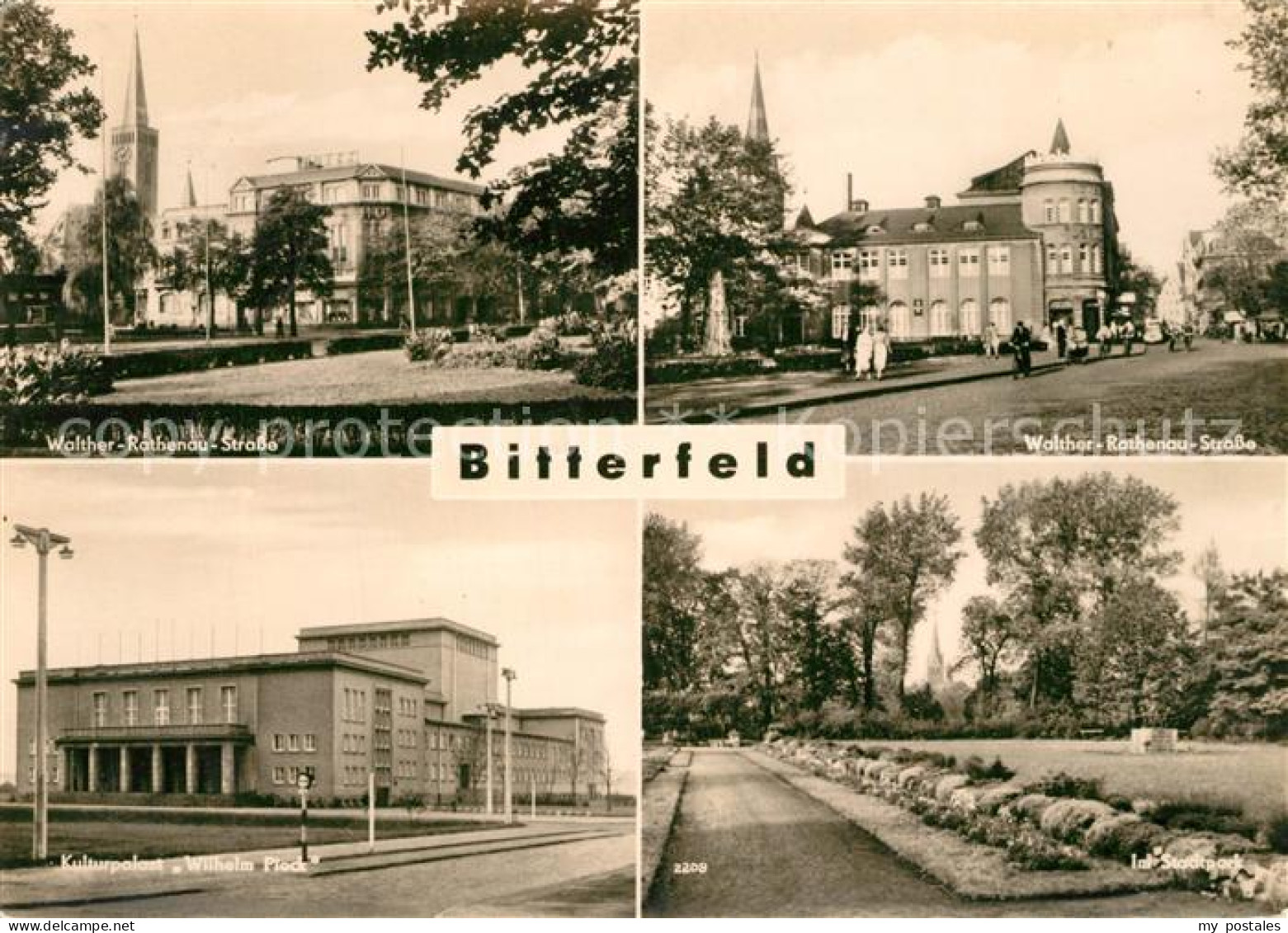 43498562 Bitterfeld Walther Rathenau Strasse Kulturpalast Wilhelm Pieck Stadtpar - Bitterfeld