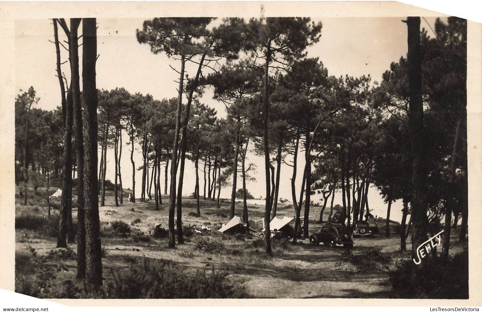 FRANCE - Saint-Brévin-l'Océan - Campeurs En Forêt Du Pointeau - Carte Postale Ancienne - Saint-Brevin-l'Océan