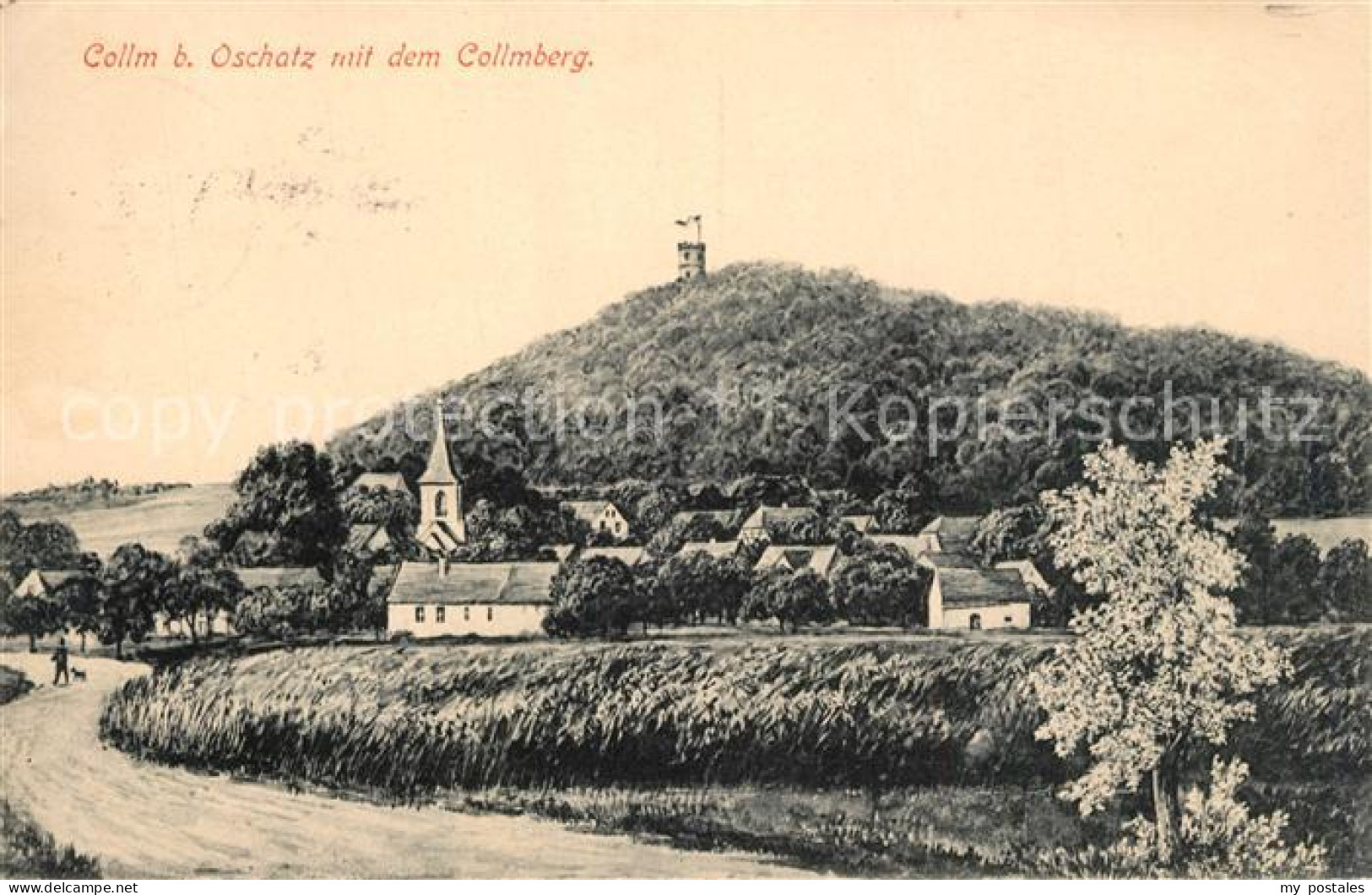 43495958 Collm Ortsansicht Mit Kirche Collmberg Aussichtsturm Kuenstlerkarte Col - Wermsdorf