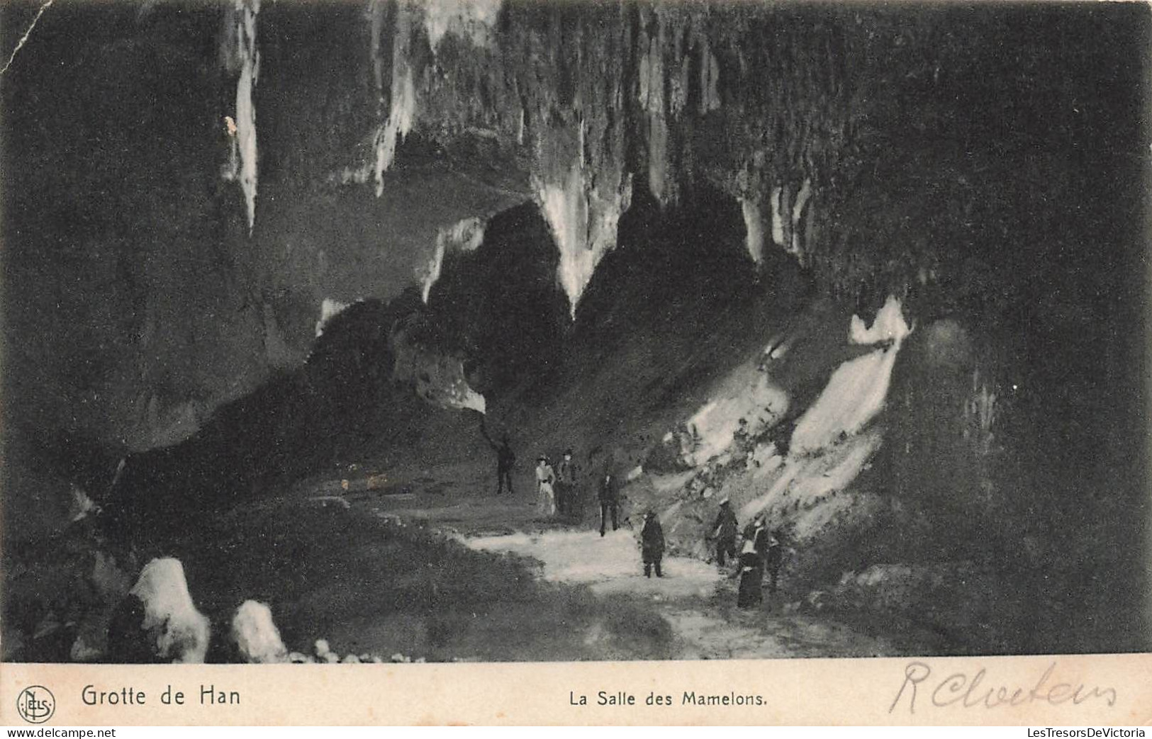 BELGIQUE - Rochefort - Grotte De Han - La Salle Des Mamelons - Carte Postale Ancienne - Rochefort