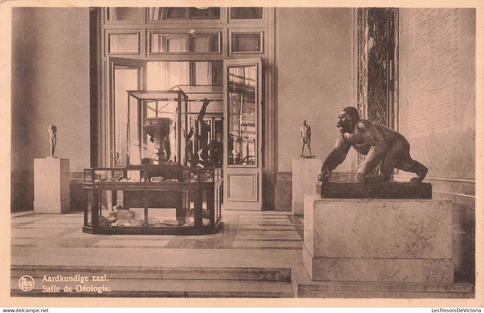 BELGIQUE - Tervueren - Musée Du Congo Belge - Salle De Géologie - Carte Postale Ancienne - Tervuren