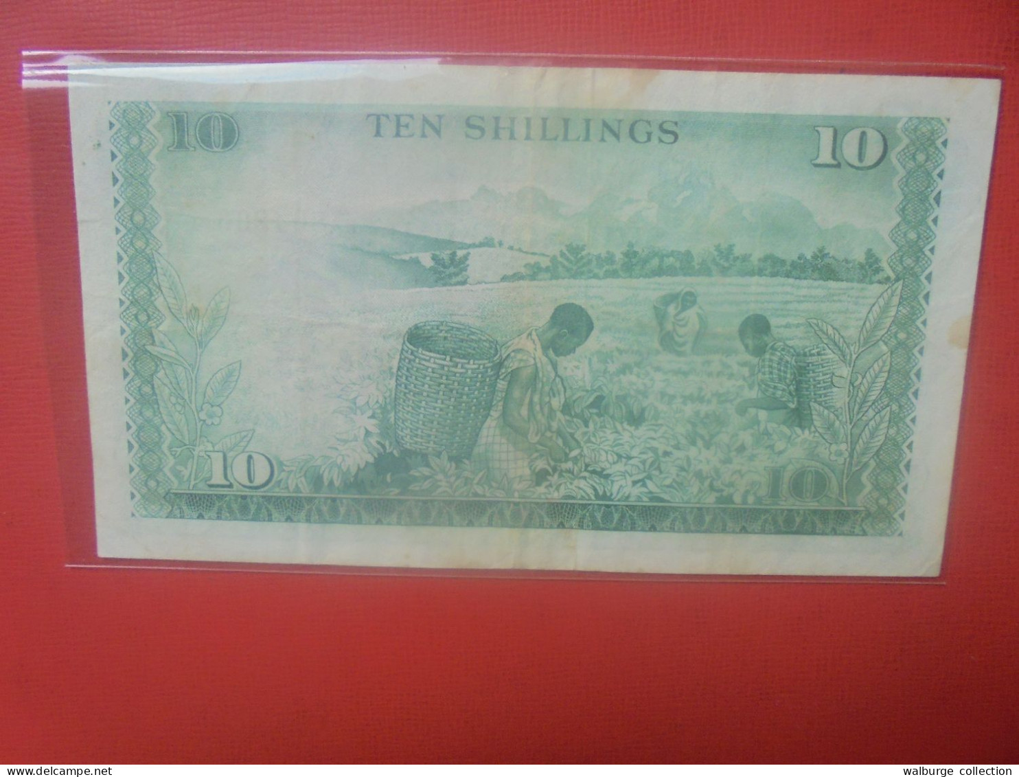 KENYA 10 SHILLINGS 1972 Circuler (B.31) - Kenya