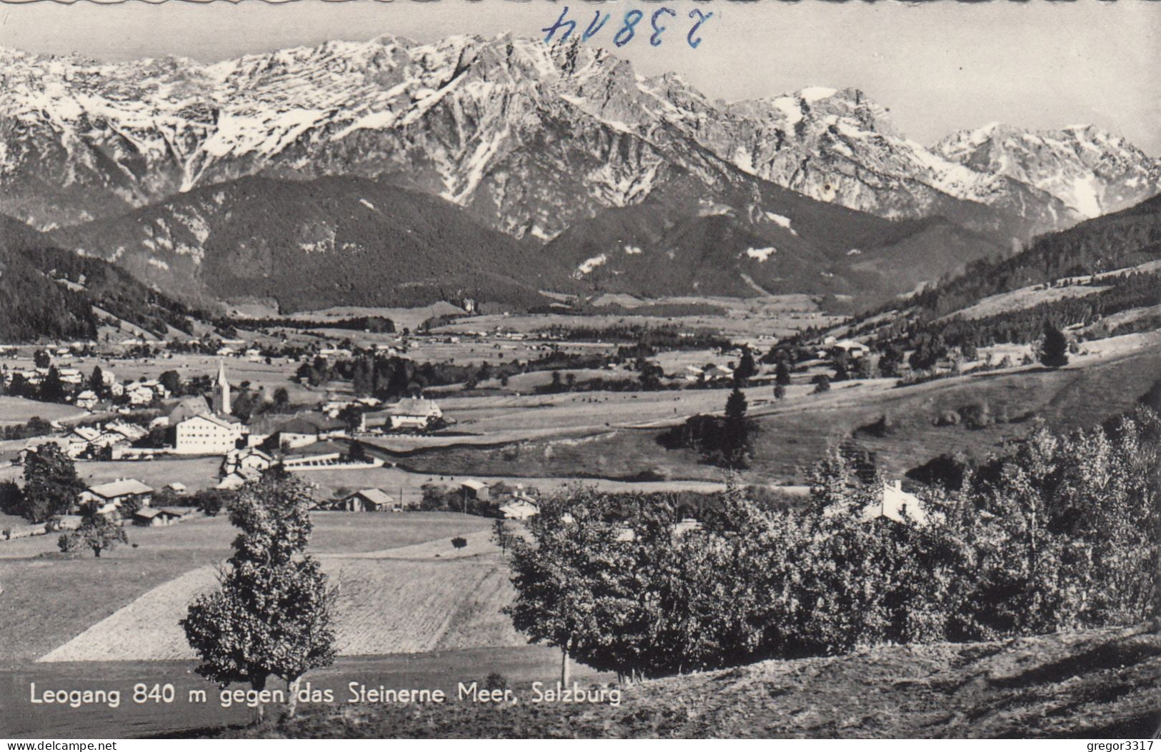 D9289) LEOGANG Gegen Das Steinerne Meer - Salzburg - Alte FOTO AK - Leogang