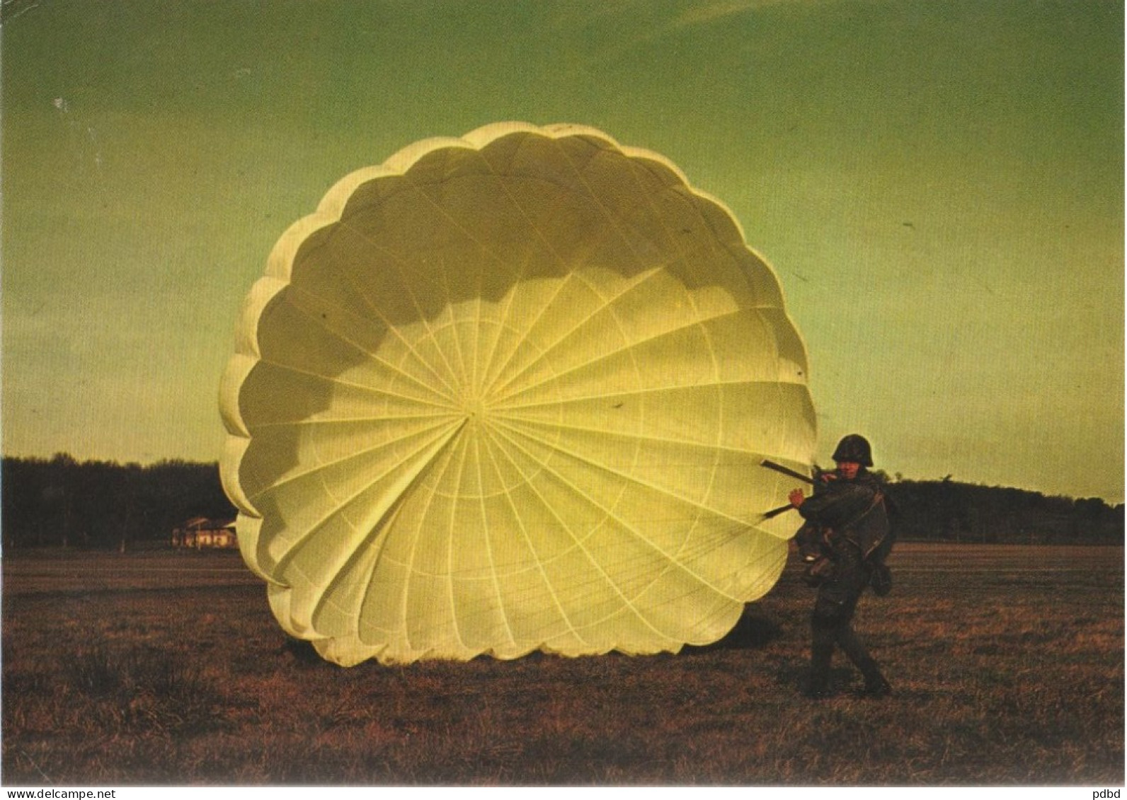 Sport . Parachutisme .  CPM . - Parachutisme