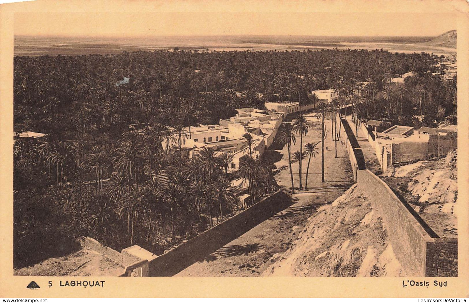ALGÉRIE - Laghouat - L'oasis Sud - Carte Postale Ancienne - Laghouat