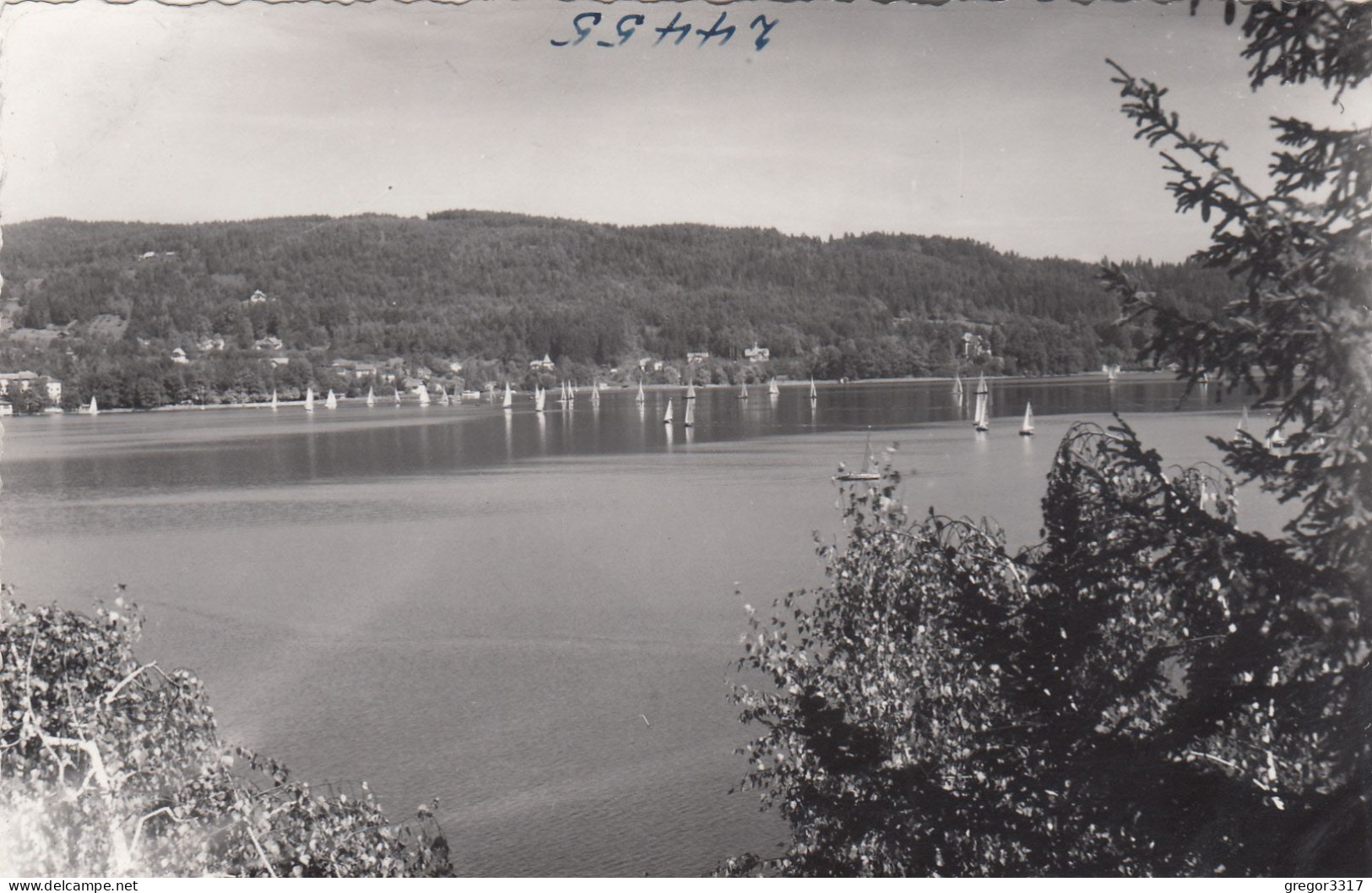 D9318) WÖRTHERSEE - FOTO AK Mit Vielen Segelbooten - Alte Original FOTO AK - Velden