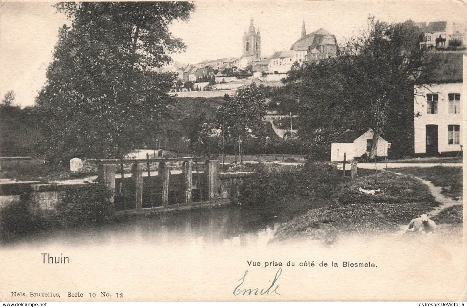 BELGIQUE - Thuin - Vue Prise Du Côté De La Biesmele - Carte Postale Ancienne - Thuin