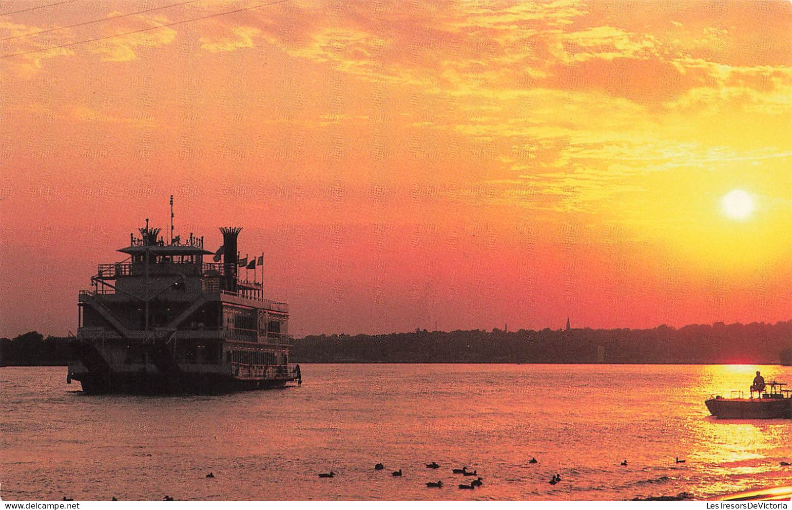 TRANSPORTS - Roberts River Rides Sur Le Mississipi - Colorisé - Carte Postale - Embarcaciones