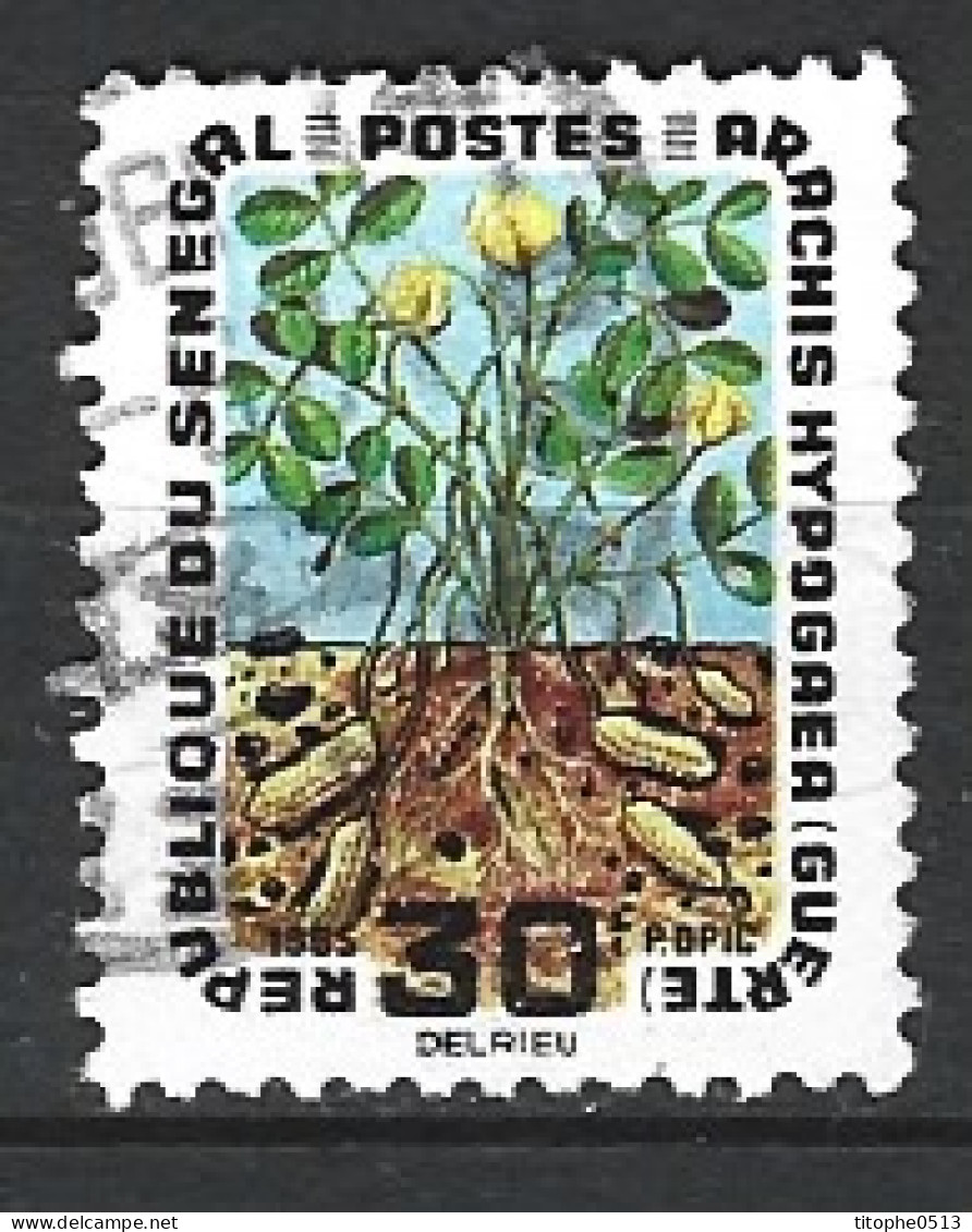 SENEGAL. N°265 De 1965 Oblitéré. Arachide. - Légumes