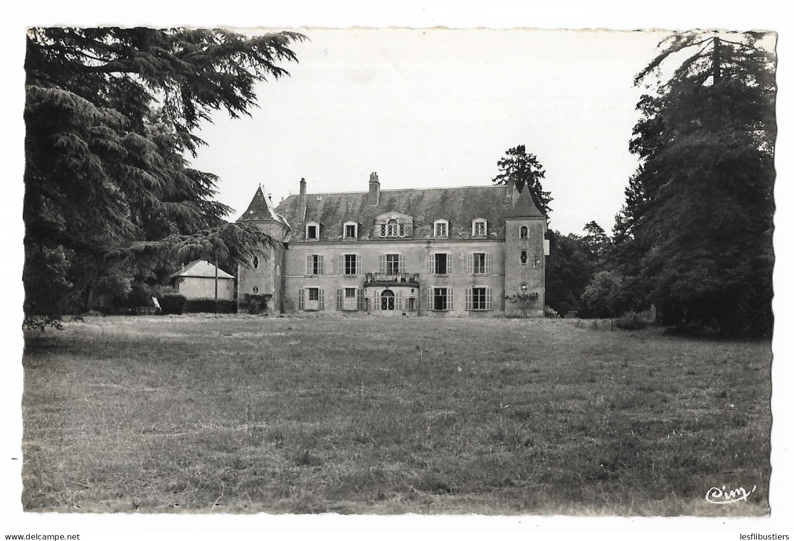 CPSM 37 FONDETTES Château Du Taillé - Colonie Scolaire De St-Denis - Fondettes