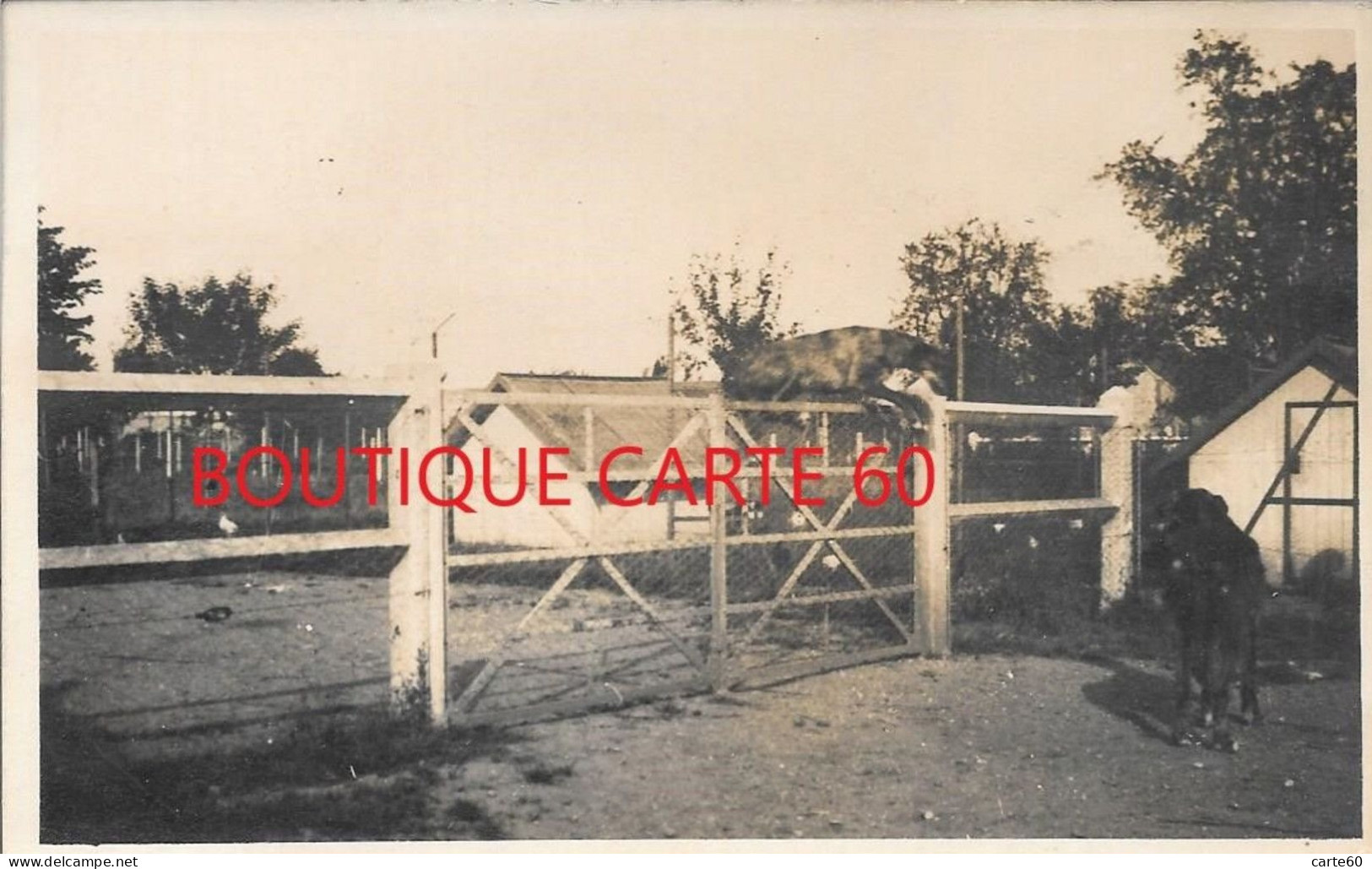 LE VAUDREUIL - CHENIL LE CLOS BEGUIN - CARTE PHOTO - Le Vaudreuil