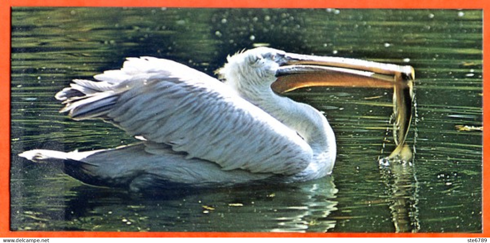 Cartonnette Chocolat Nestlé Merveilles Du Monde 16 LE PELICAN   Animaux - Chocolat