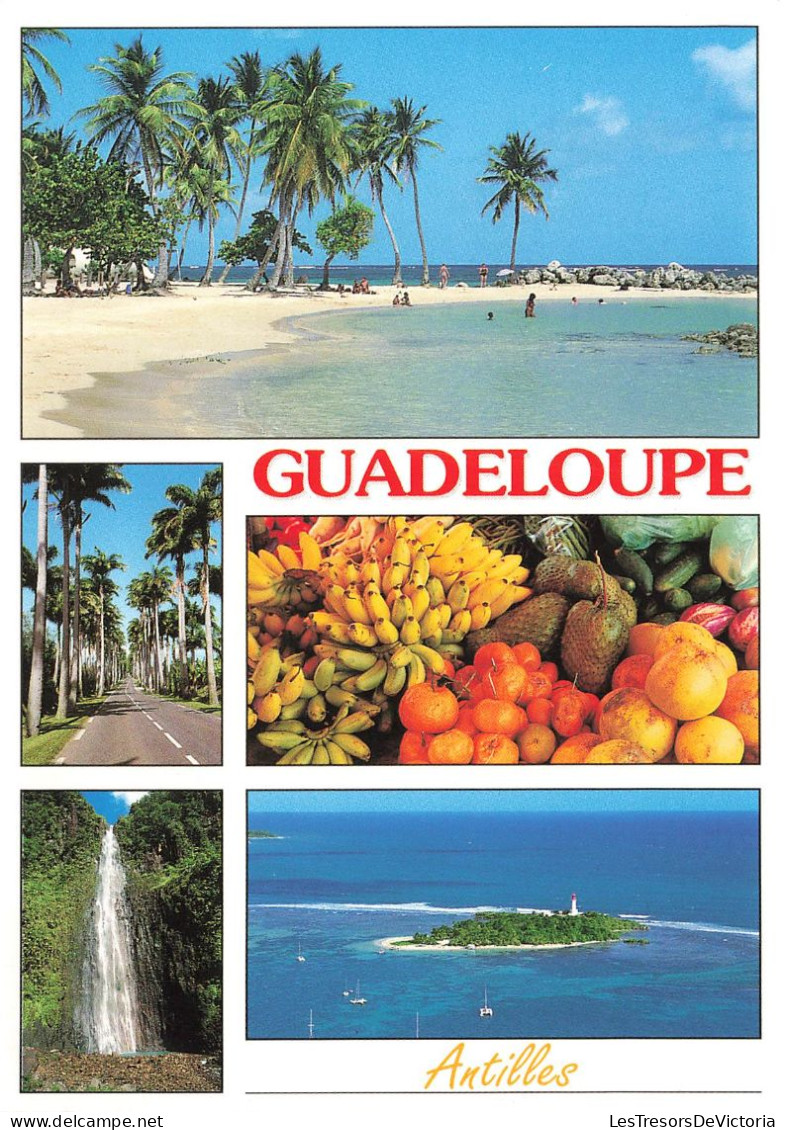 FRANCE - Guadeloupe - Antilles - Cascade - Plage - Fruits - Carte Postale - Altri & Non Classificati