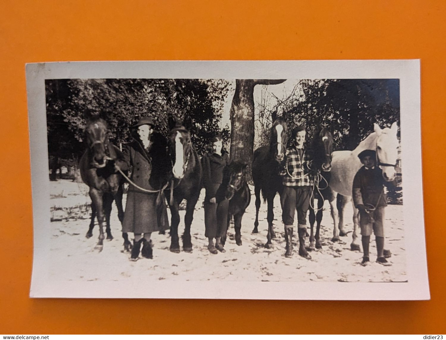 PHOTO Vers 1900 ETATS UNIS MISSOURI VILLE MILLS ?   Même Lot Que 1914152532 CHEVAL PONEY - Autres & Non Classés