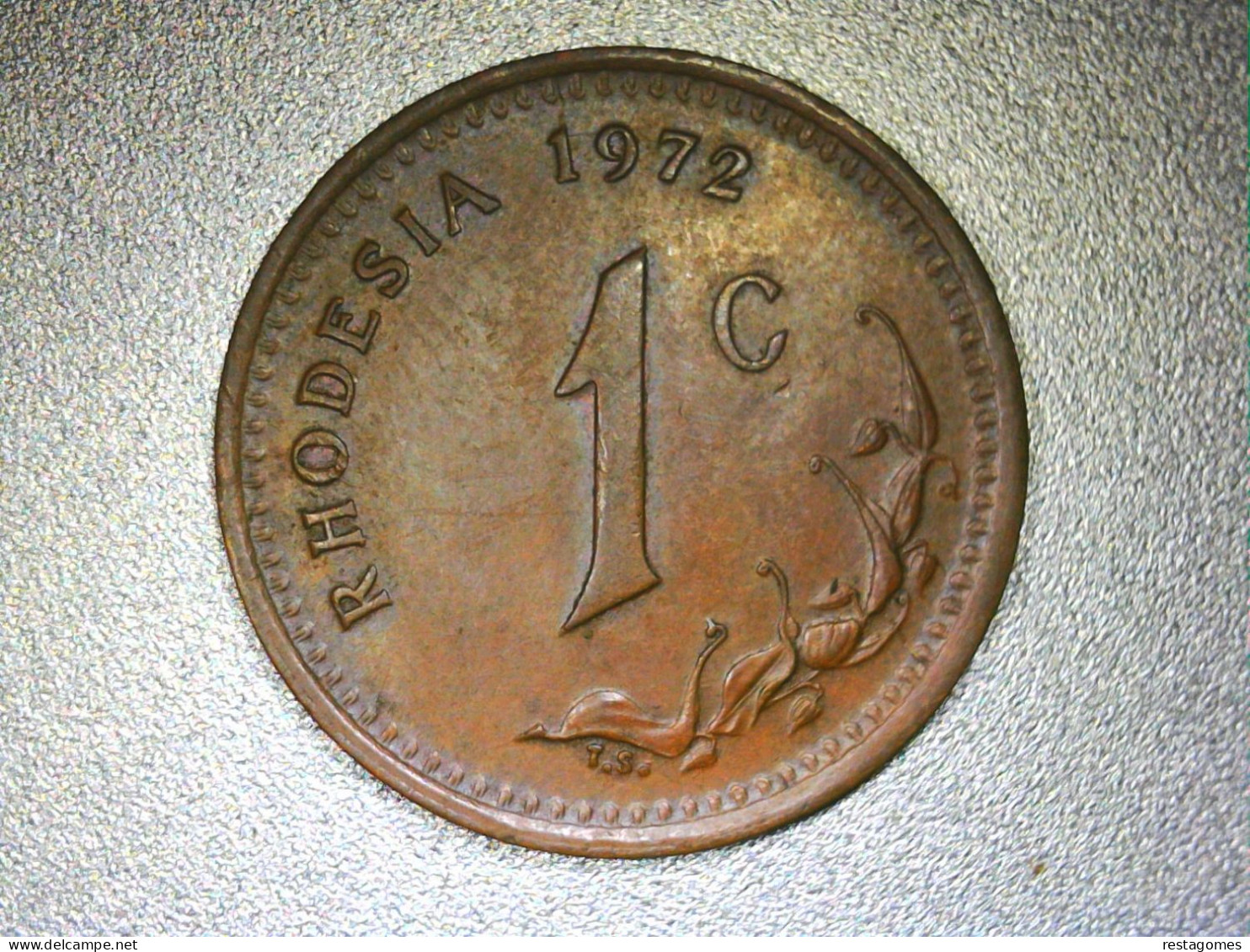 Rhodésie, 1 Cents 1972 - Rhodesië