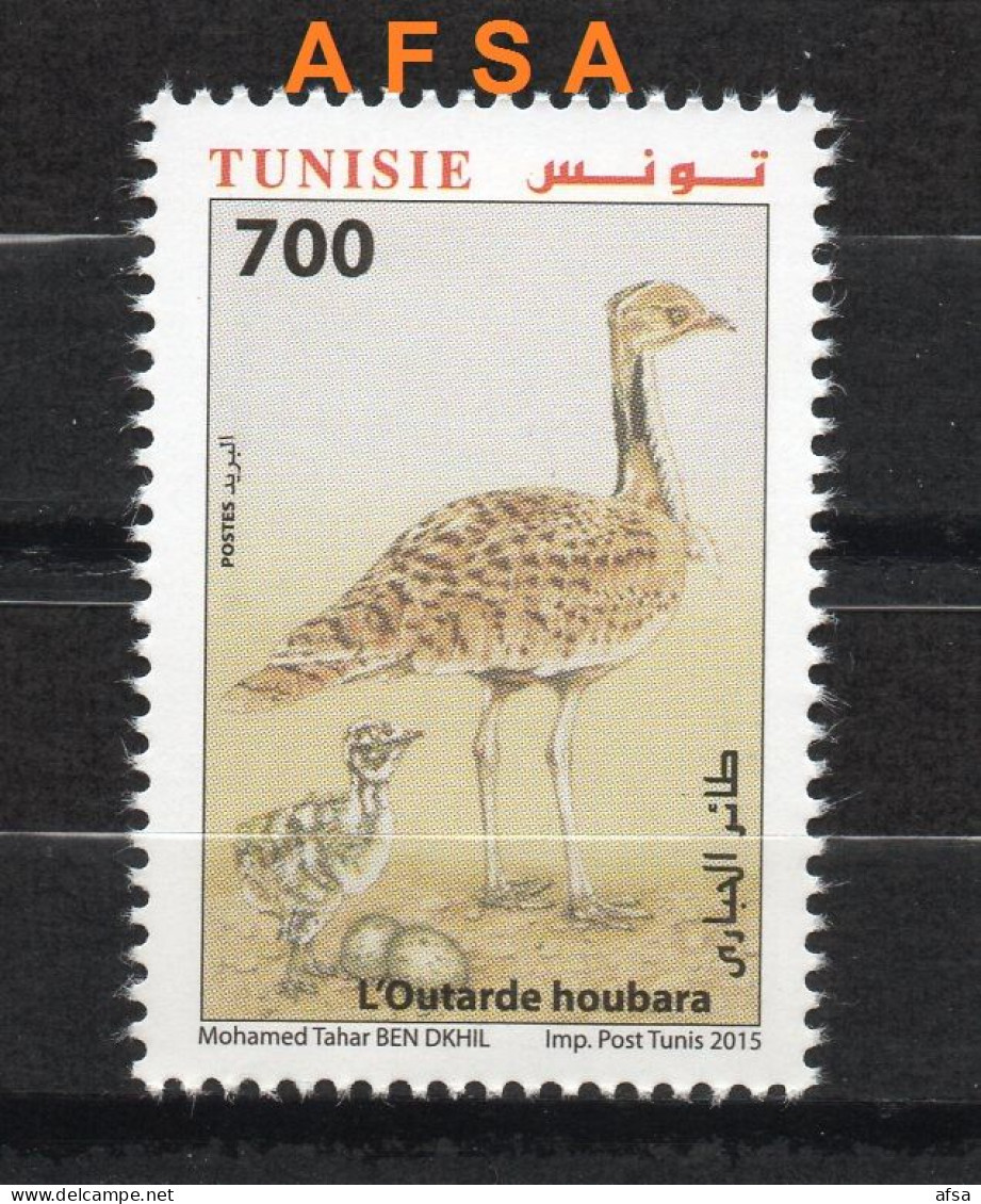 Tunisia 2015 -HOUBARA - L'outarde // The Bustard - Grues Et Gruiformes