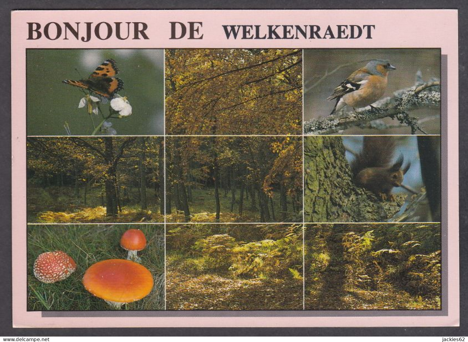 125385/ WELKENRAEDT, Bonjour De - Welkenraedt