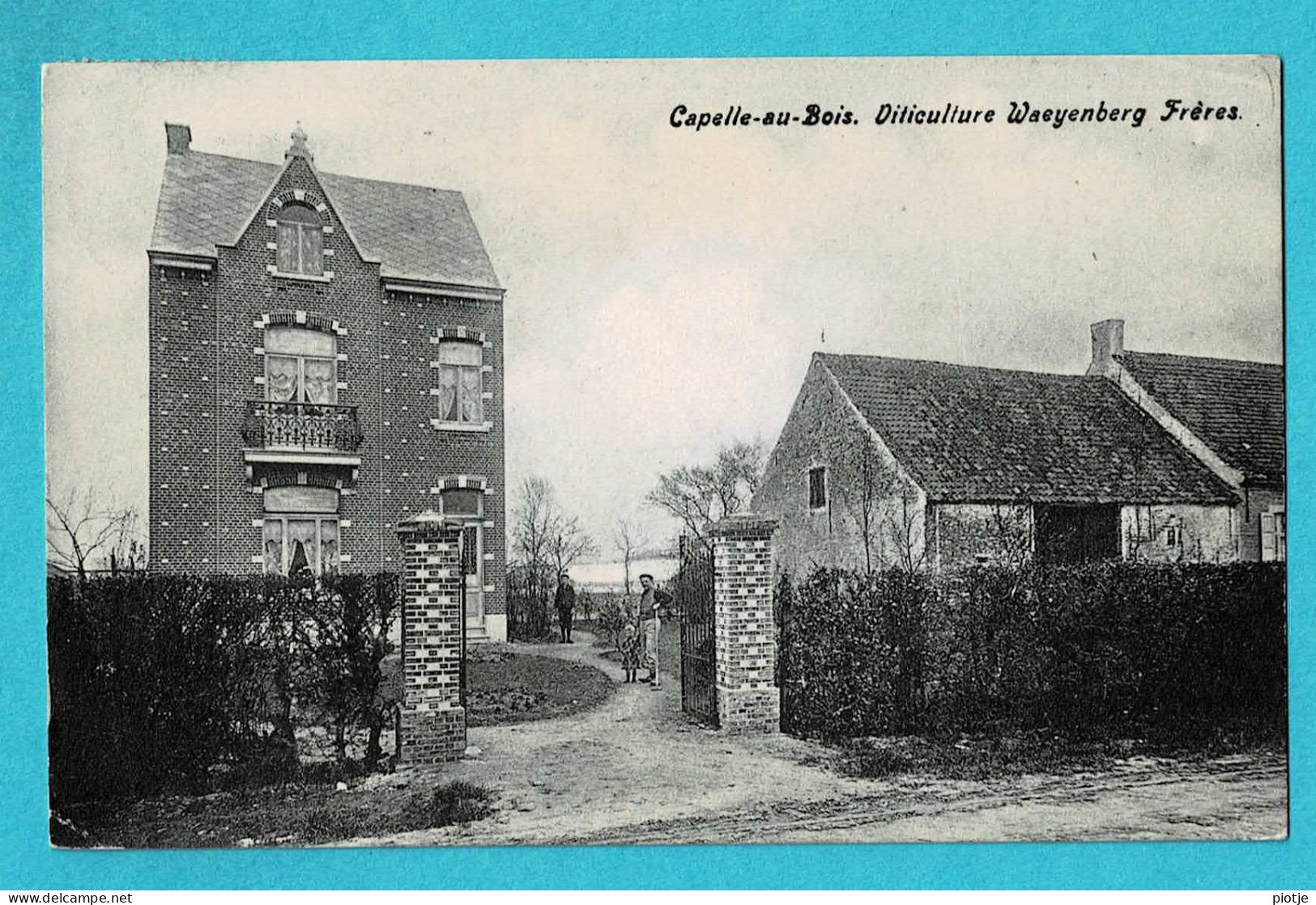 * Kapelle Op Den Bos - Capelle Au Bois (Vlaams Brabant) * (Edit Pettens Van Doorslaer) Viticulture Waeyenberg Frères - Kapelle-op-den-Bos