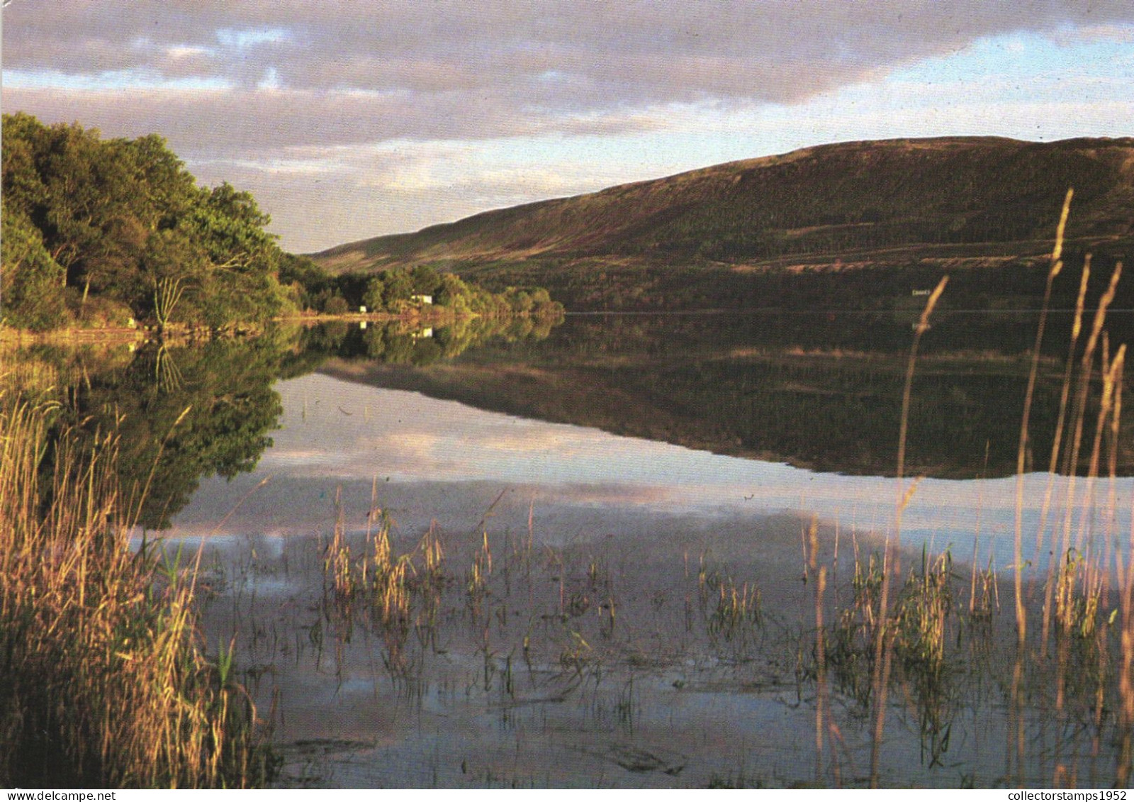 LOCH VENACHAR, TROSSACHS, LAKE, SCOTLAND, UNITED KINGDOM - Stirlingshire