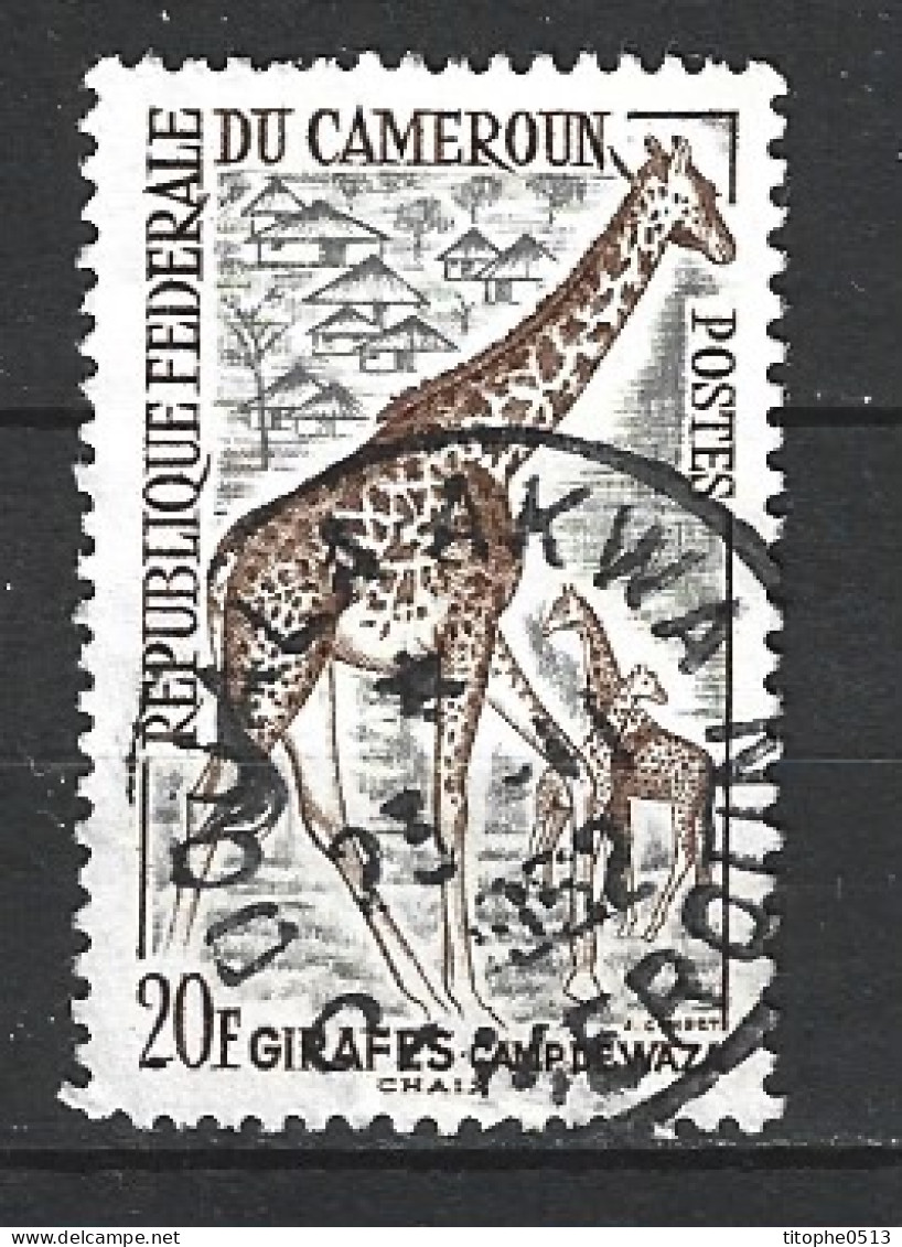 CAMEROUN. N°350 Oblitéré De 1962. Girafe. - Jirafas