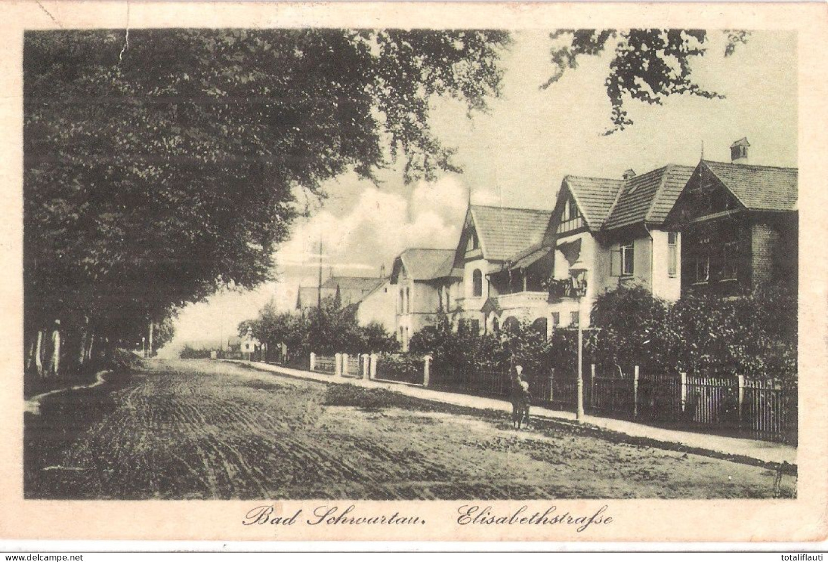 BAD SCHWARTAU Bei Lübeck Elisabethstraße Belebt Villen An Neuer Unbefestigter Strasse 29.8.1919 Gelaufen Grünlich - Bad Schwartau