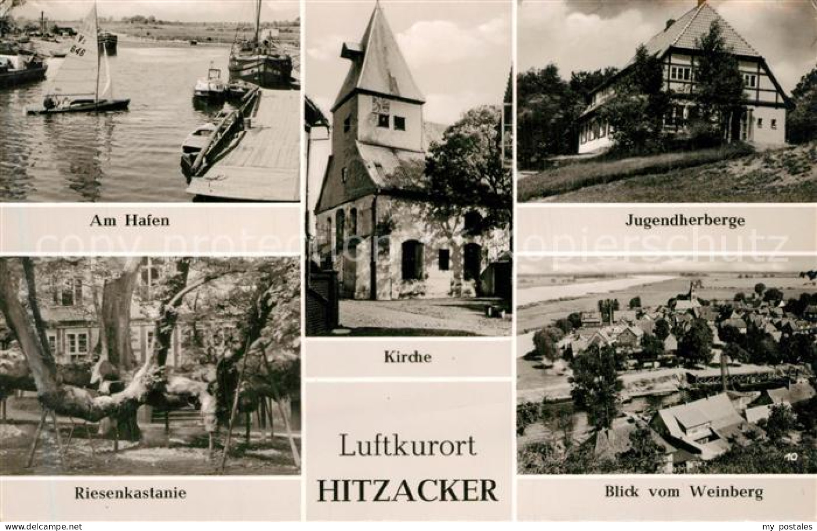 43495387 Hitzacker Elbe Hafen Kirche Jugendherberge Riesenkastanie Panorama Hitz - Hitzacker