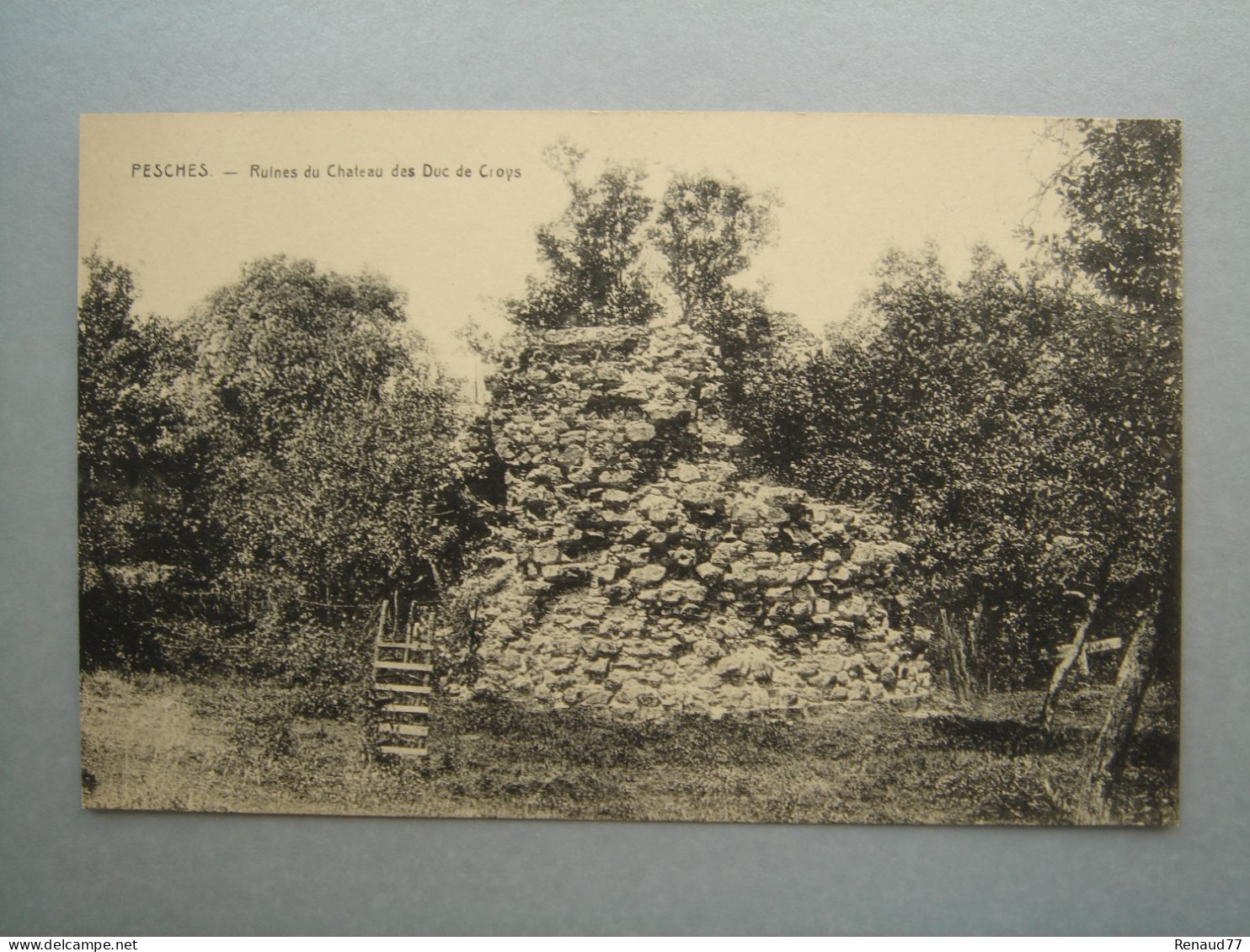 PESCHES - Ruines Du Château Des Duc De Croys - Couvin - Couvin