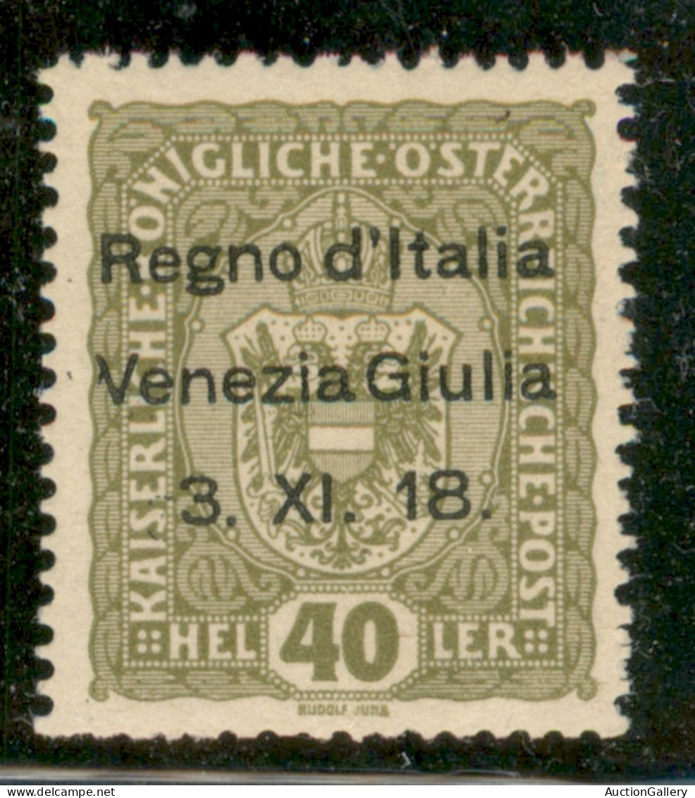 Occupazioni I Guerra Mondiale - Venezia Giulia - 1918 - 40 Heller Soprastampato (10) - Gomma Integra - Sonstige & Ohne Zuordnung
