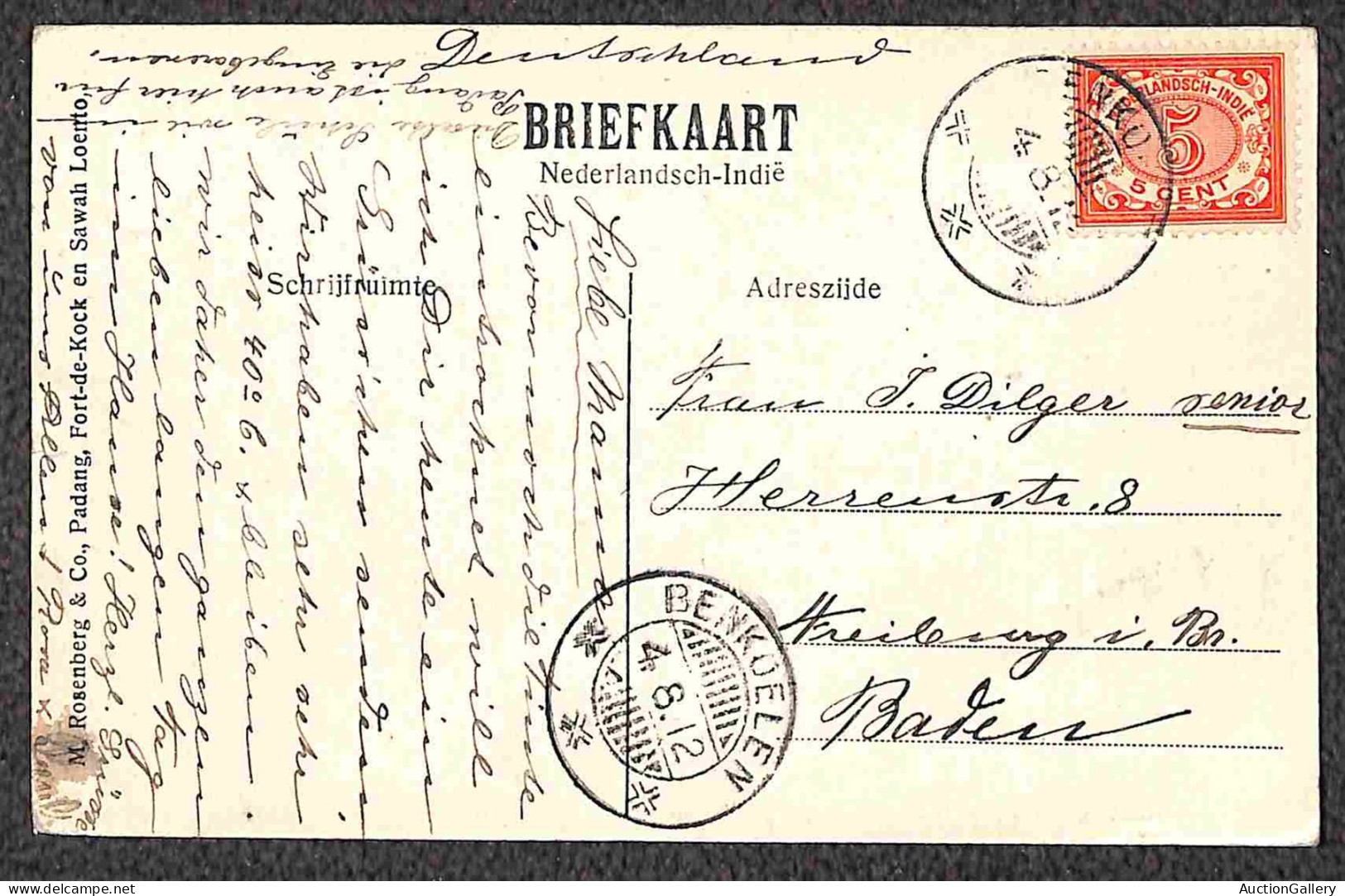 Europa - Olanda - Indie Olandesi - 1912/1914 - Cinque cartoline per la Germania