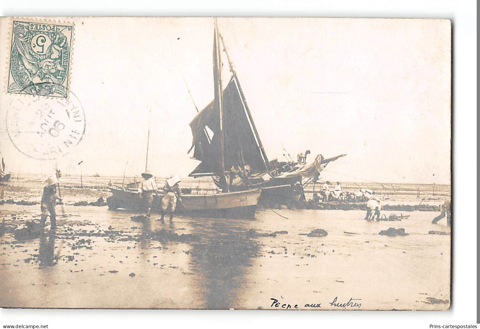 CPA 17 Marennes Carte Photo Peche Aux Huitres Au Rocher De Daire - Marennes