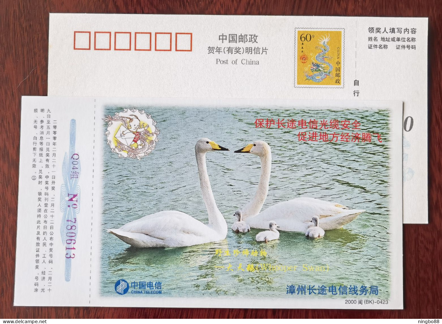 Whooper Swan Bird,China 2000 Rare & Precious Animal Advertising Pre-stamped Card - Swans