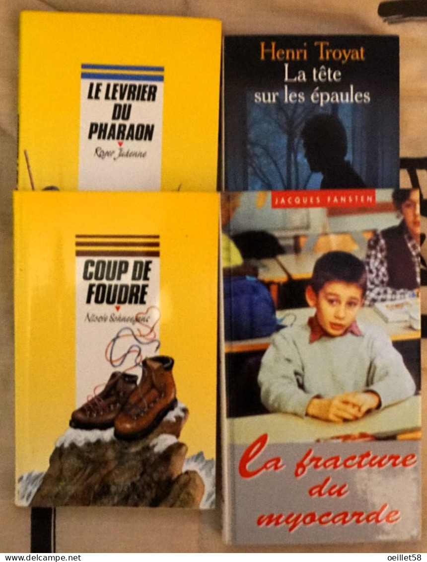 Lot De 4 Livres Pour Adolescents - Loten Van Boeken