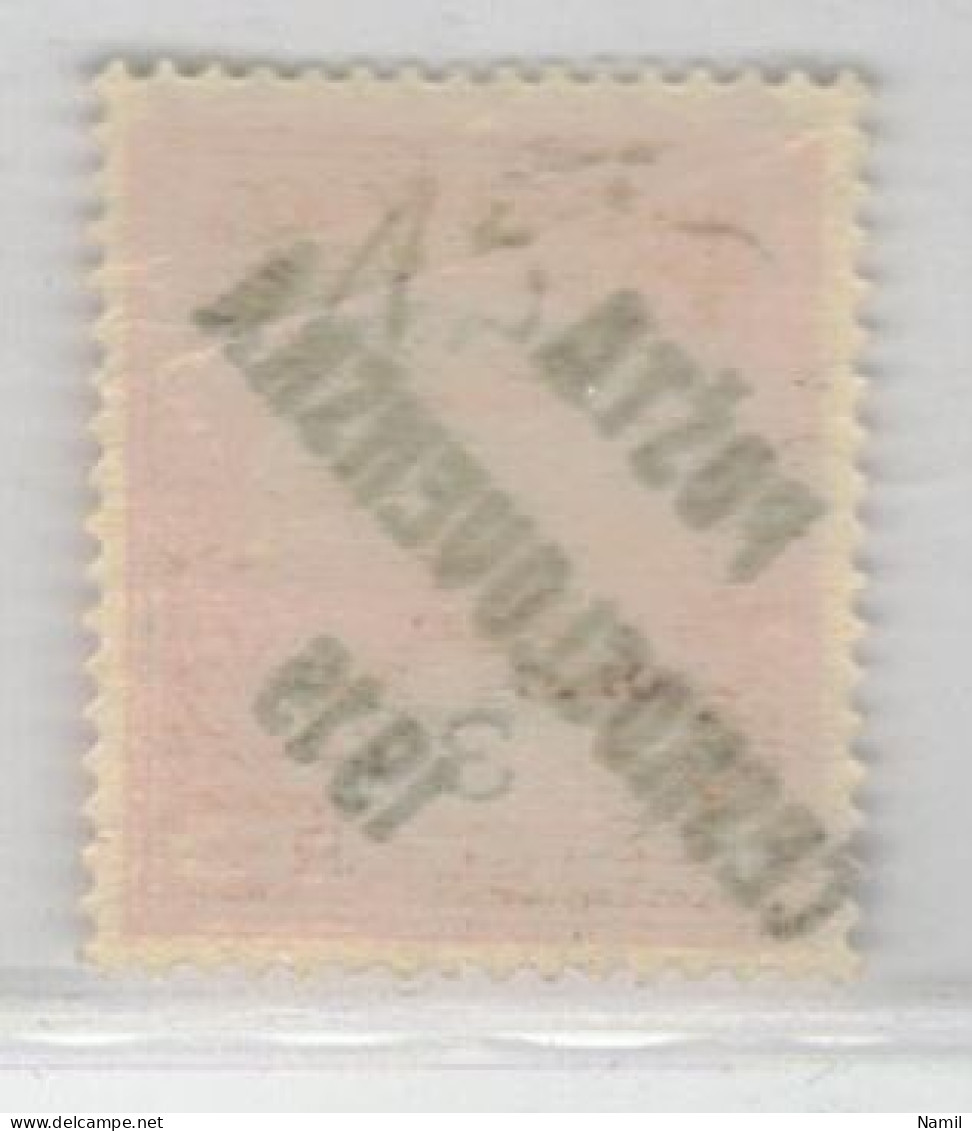 Tchécoslovaquie 1919 Mi 106 (Yv 67), (MH)* Trace De Charniere, Surcharge Non Authentique - Unused Stamps