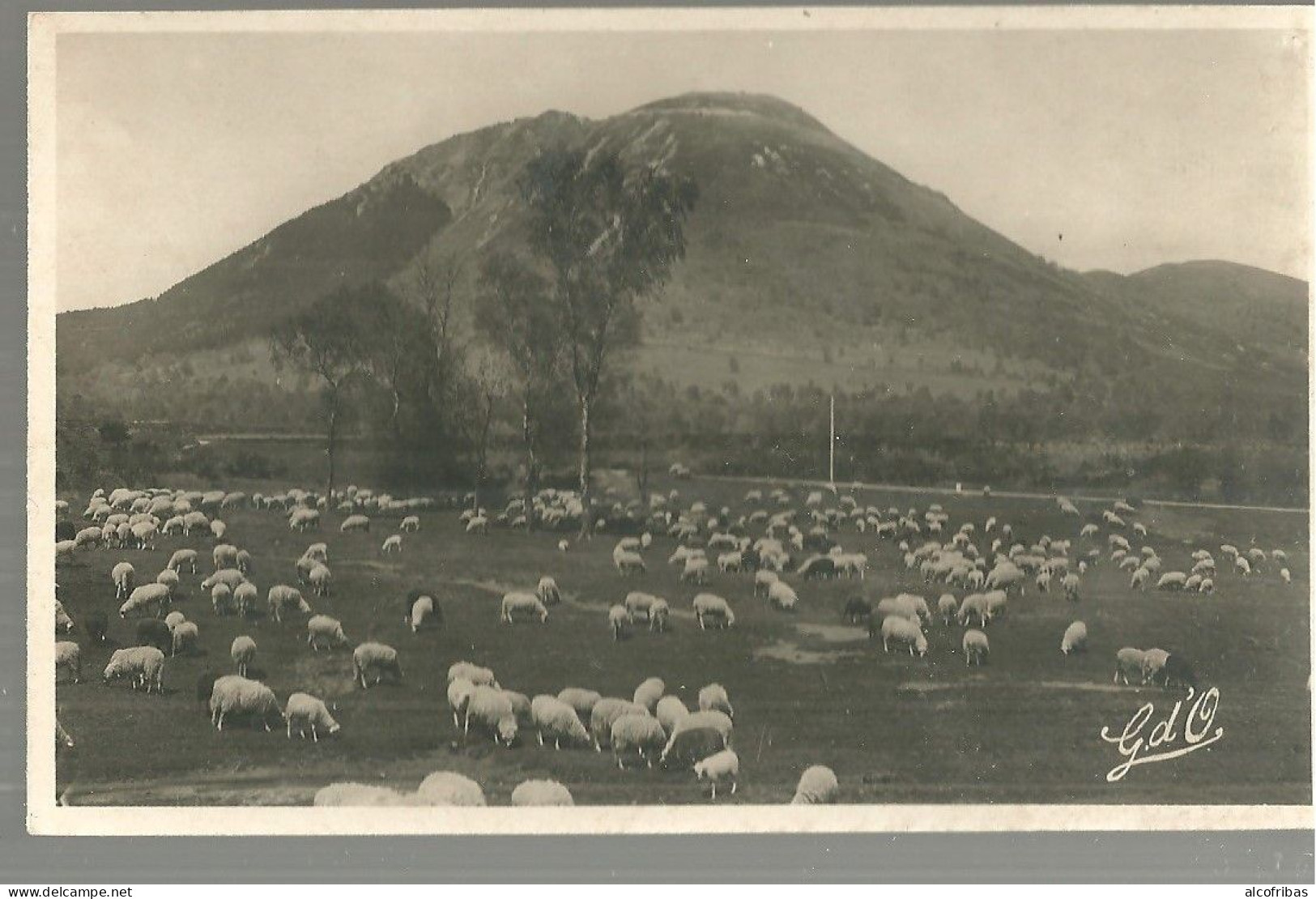 CPA Animaux Moutons Bergers Lot 6 Cartes - Collezioni E Lotti