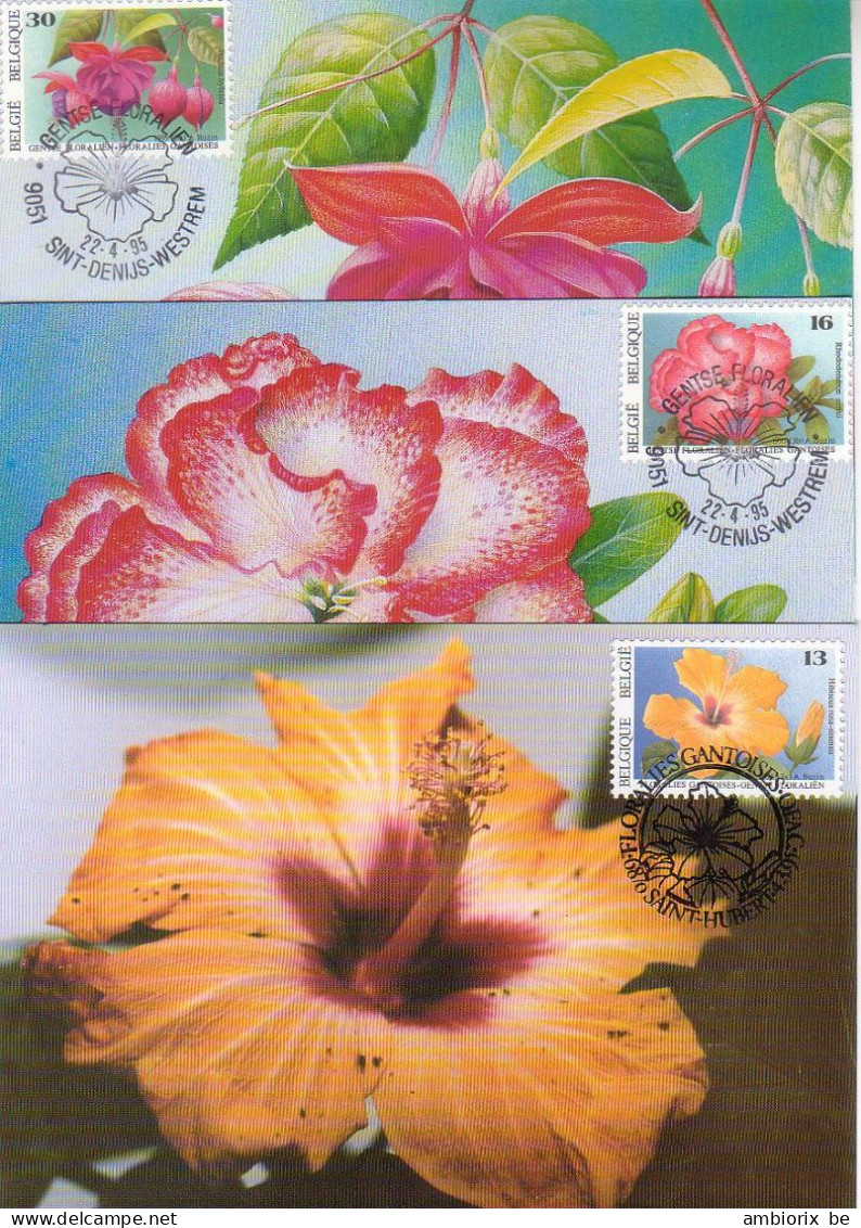 Carte Max 2589 2590 2591 Floralies - 1991-2000