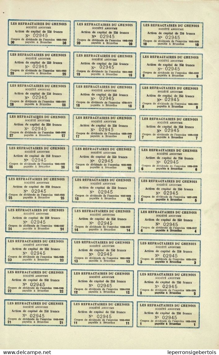 - Titre De 1923 - Les Réfractaires Du Chenois - Société Anonyme   - - Industrie