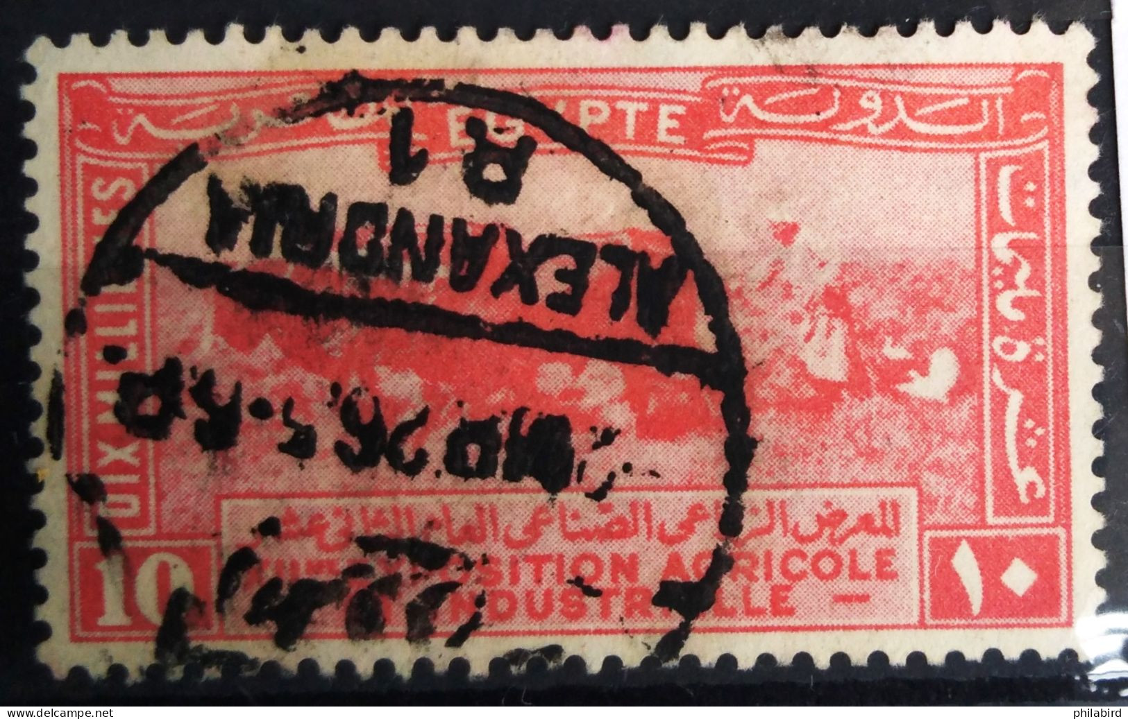 EGYPTE                      N° 98                       OBLITERE - Used Stamps