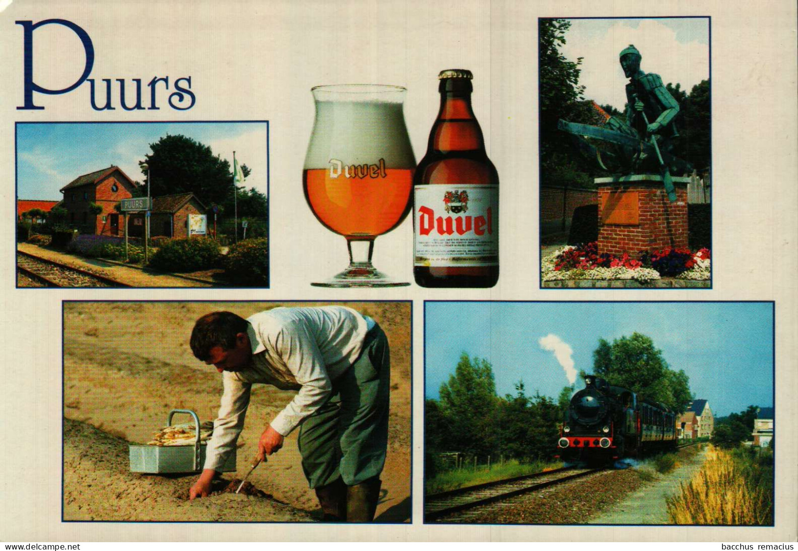 PUURS-SINT AMANDS - 1.Seinhuisje 2.Streekbier "DUVEL" 3.De Redder 4.Steken Van Asperges 5.Toeristische Stoomtrein"DUVEL" - Sint-Amands