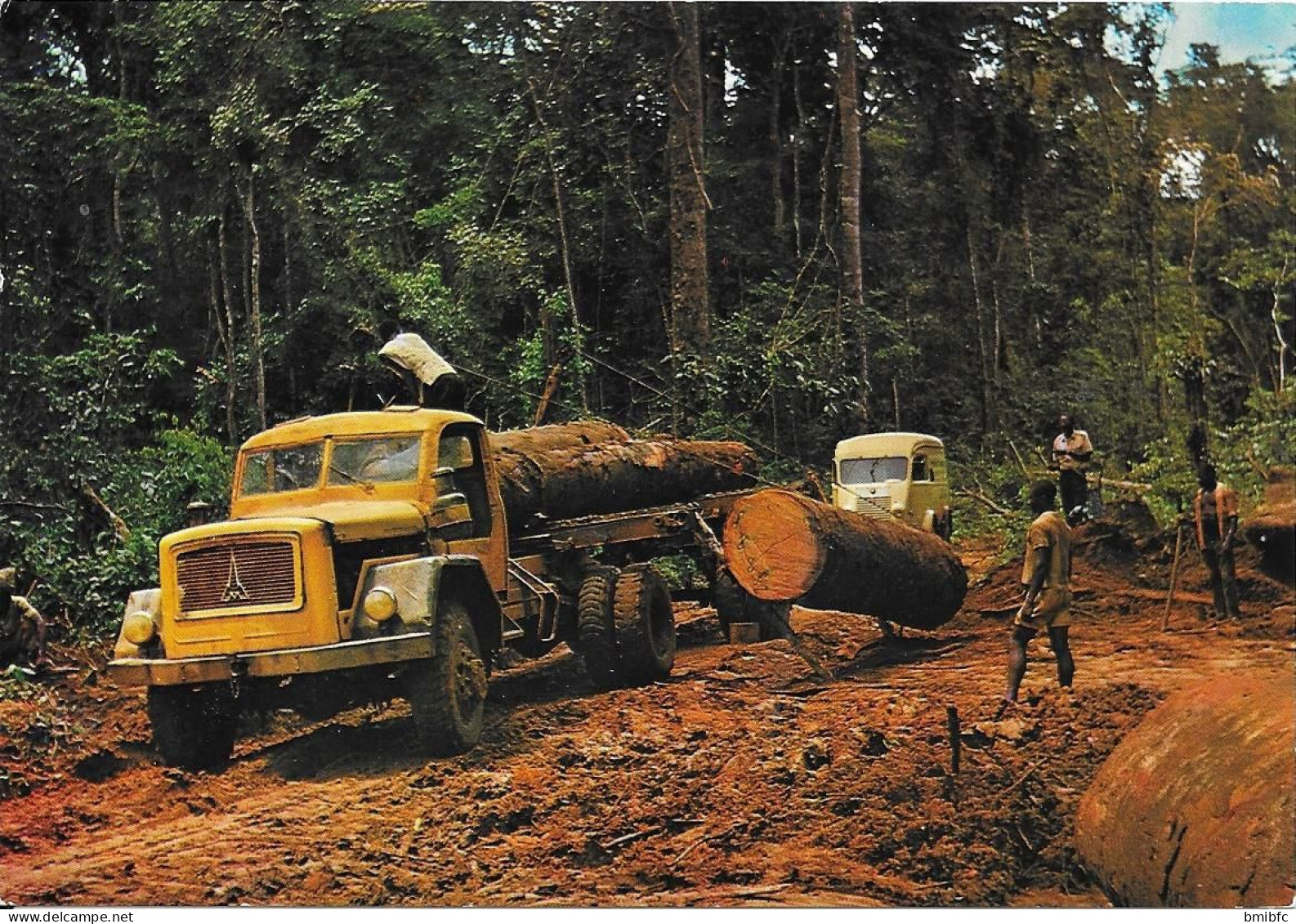 IMAGES DU GABON - Chantier Forestier - Gabon