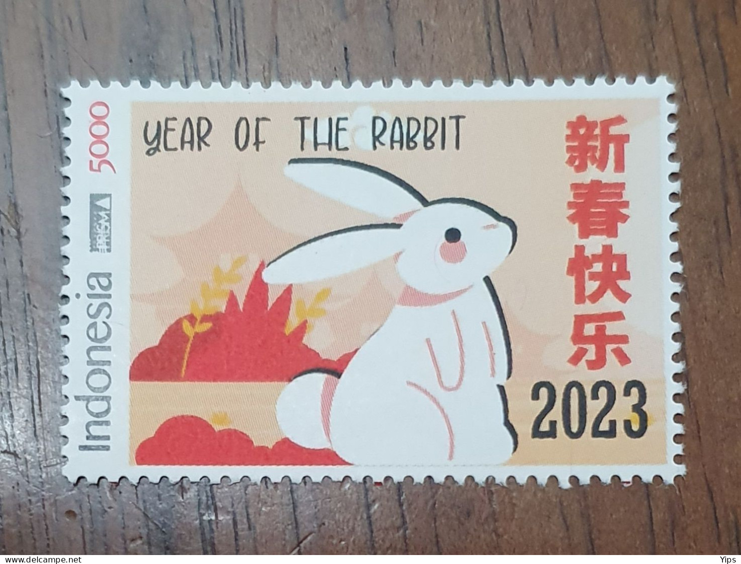 Year Of The Rabbit 2023 - Indonésie