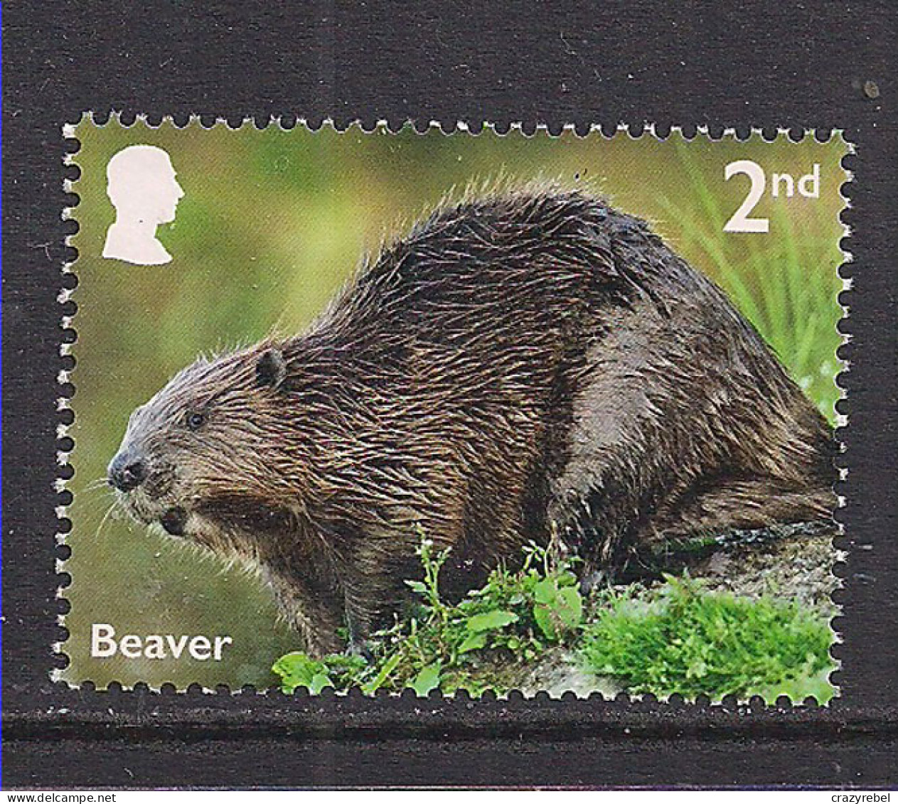 GB 2023 KC 3rd 2nd River Wildlife Beaver Umm ( 297 ) - Unused Stamps