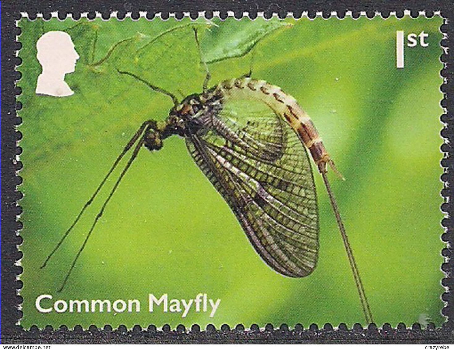 GB 2023 KC 3rd 1st River Wildlife Common Mayfly Umm ( 563 ) - Unused Stamps