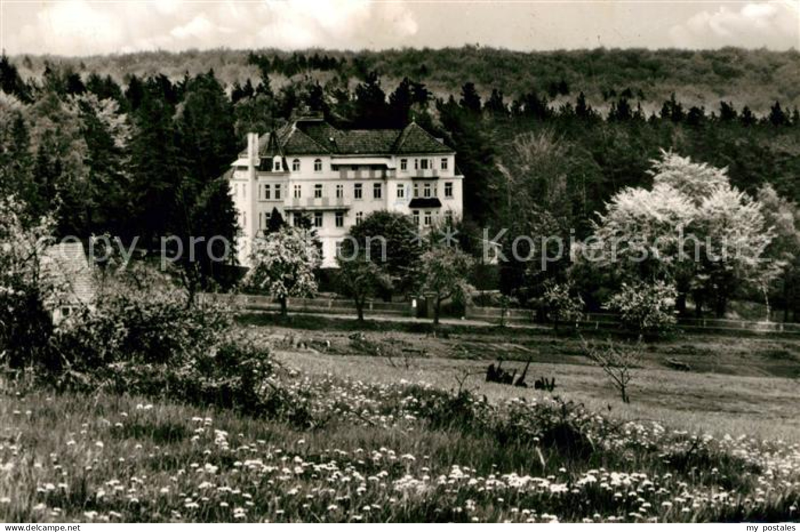 43366726 Wenzigerode Altersheim Erholungsheim Haus Ebersberg Wenzigerode - Bad Zwesten