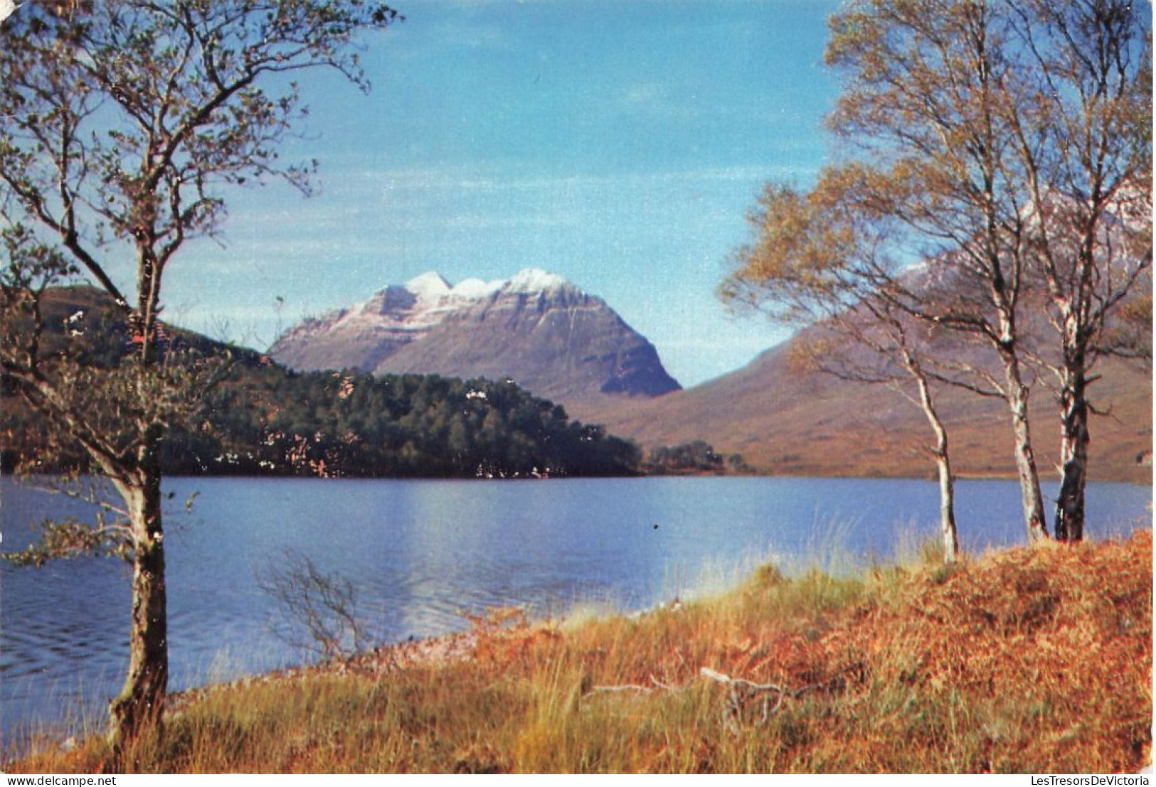 ROYAUME UNI - Liatach From Loch Clair - The Torridons - Ross-Shire - Colorisé -  Carte Postale - Autres & Non Classés