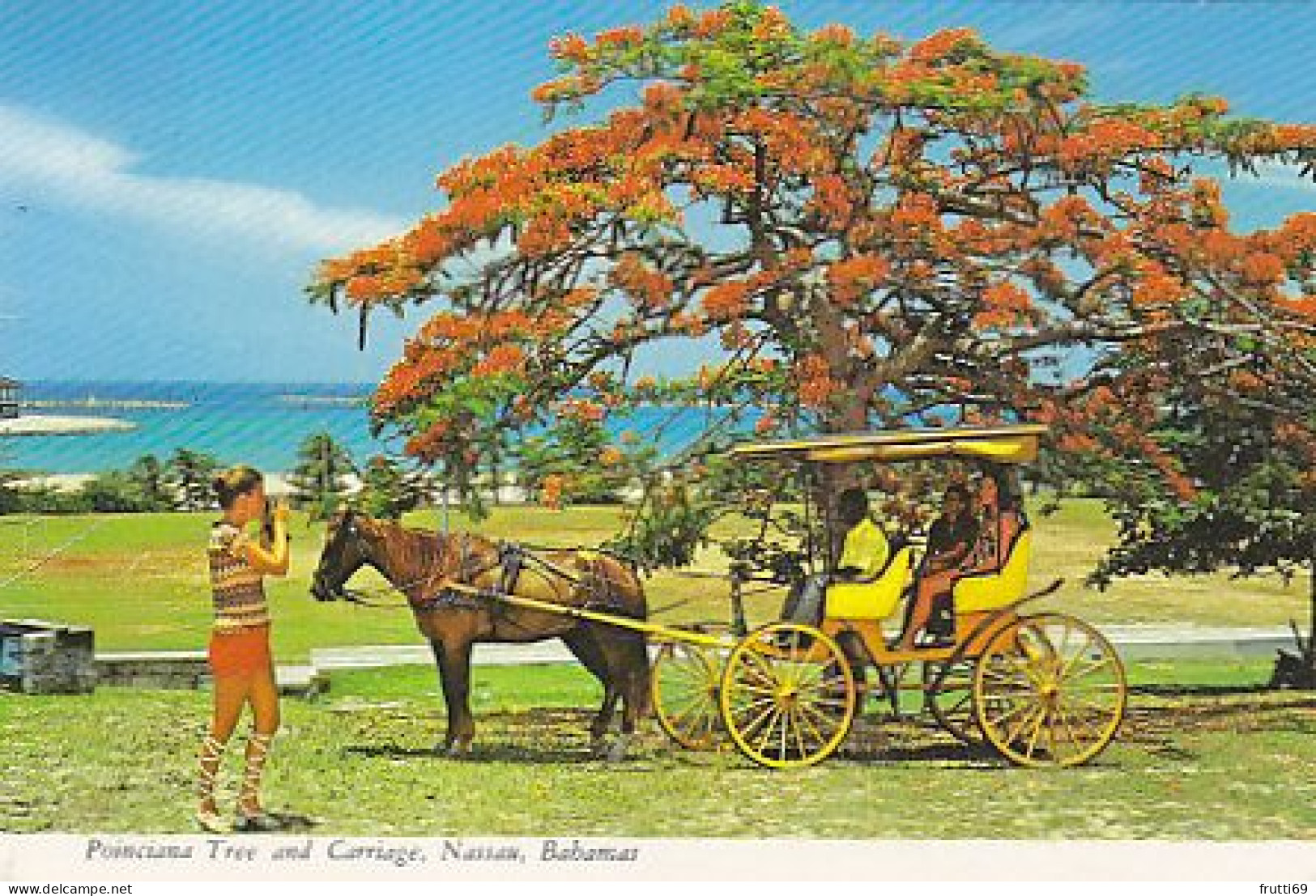 AK 183074 BAHAMAS - Nassau - Poinciana Tree And Carriage - Bahamas