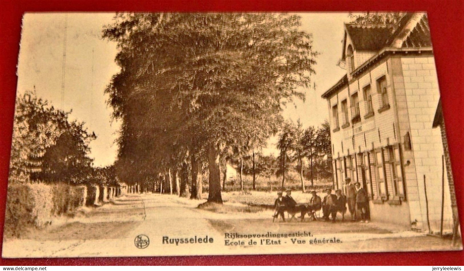 RUISELEDE  - RUYSSELEDE  -  Rijksopvoedingsgesticht  -  Ecole De L' Etat, Vue Générale - Ruiselede