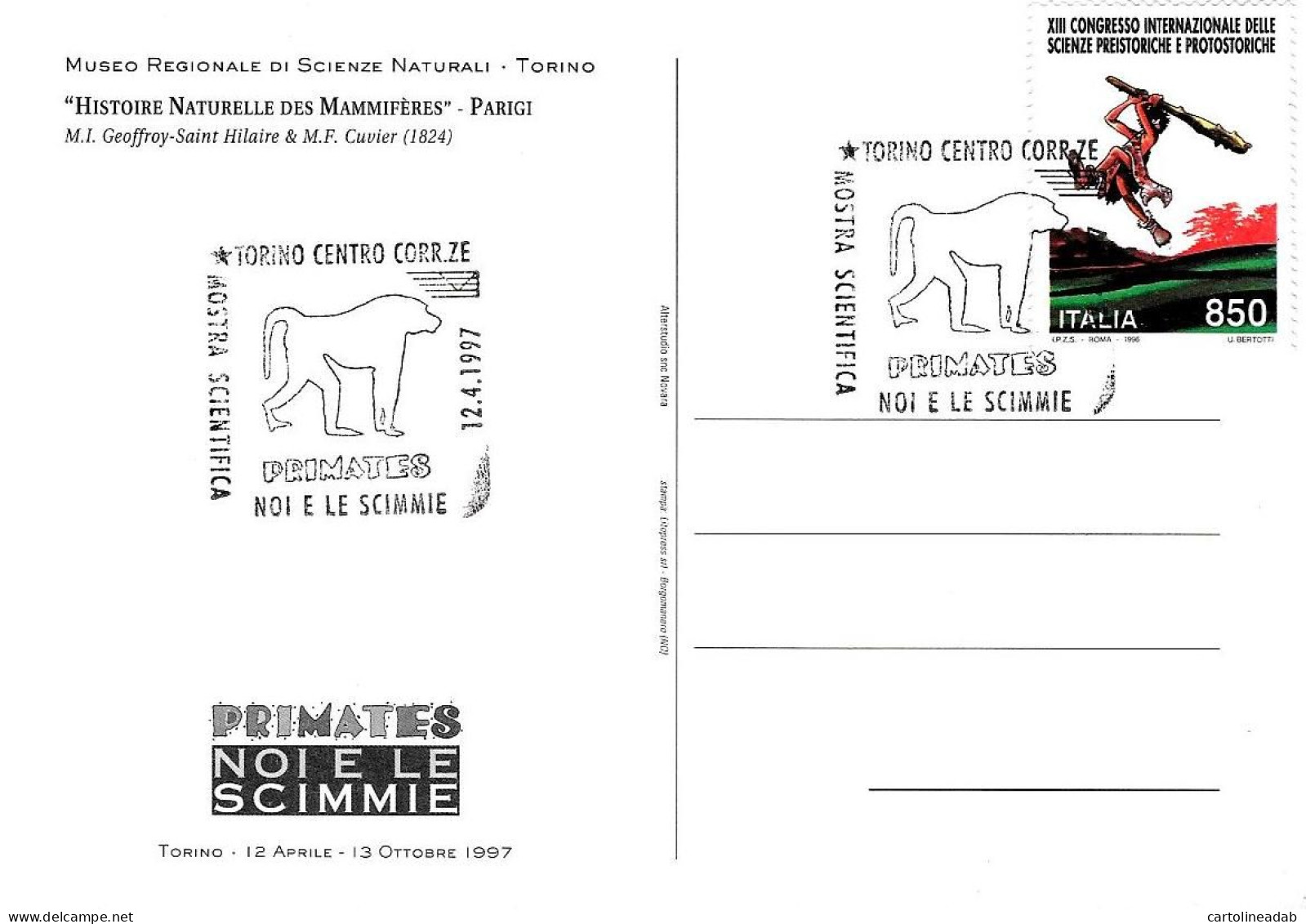 [MD8370] CPM - SERIE DI 8 CARTOLINE CON ANNULLO - PRIMATES NOI E LE SCIMMIE - TORINO - PERFETTE - Non Viaggiate - Singes